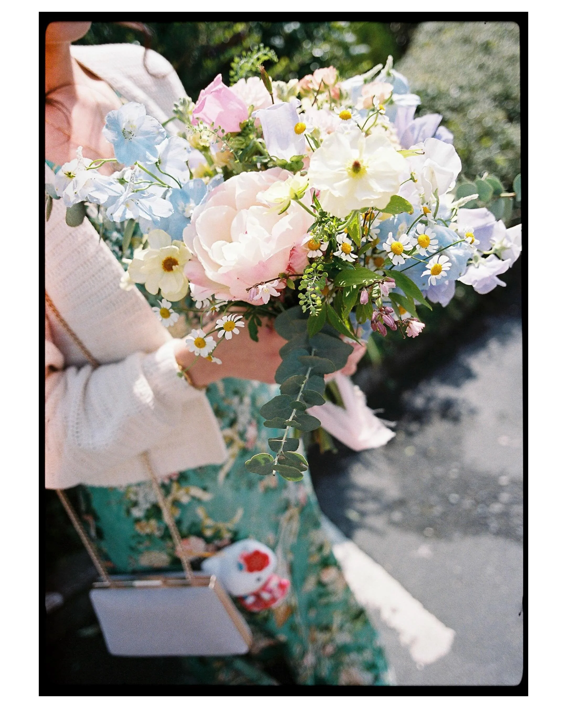 Some lovely photos on film &amp; digital from Claire and Max&rsquo;s wedding at The Oranmore Lodge &amp; The Ardilaun hotel, Galway&hellip; featuring a special appearance by VIP guest Izzy 🐾🤍
.
Photographer: @rachel_alice_photography 
Flowers: @lit