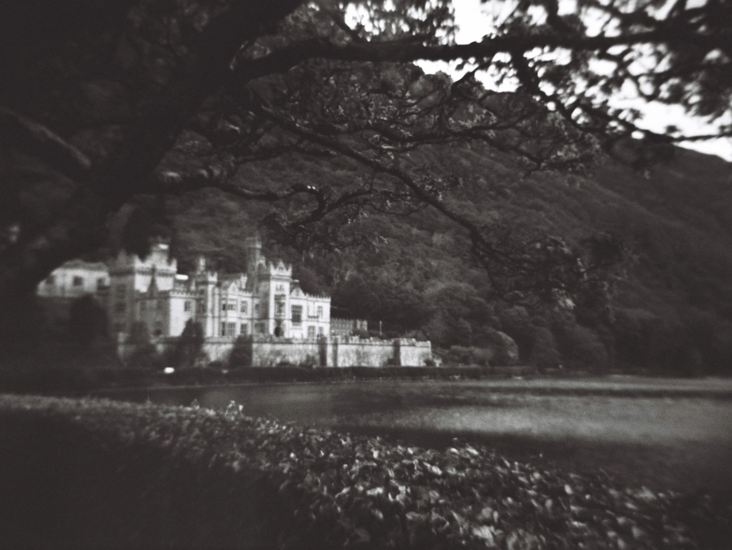 A black and white photograph of a castle-like building with towers, situated along a river, under a cloudy sky and large tree with sprawling branches in the foreground.
