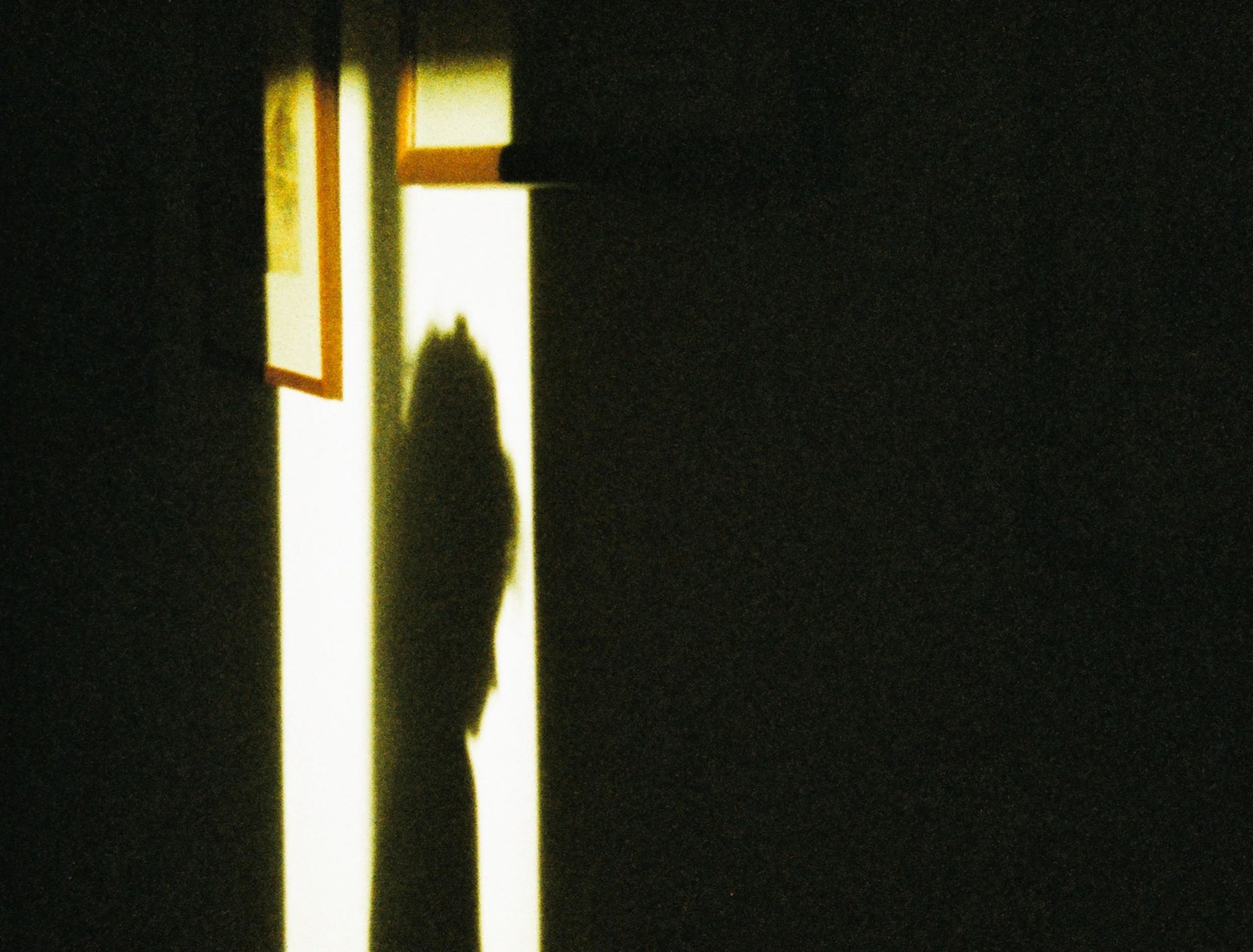 Quella sera dorata_4.jpg