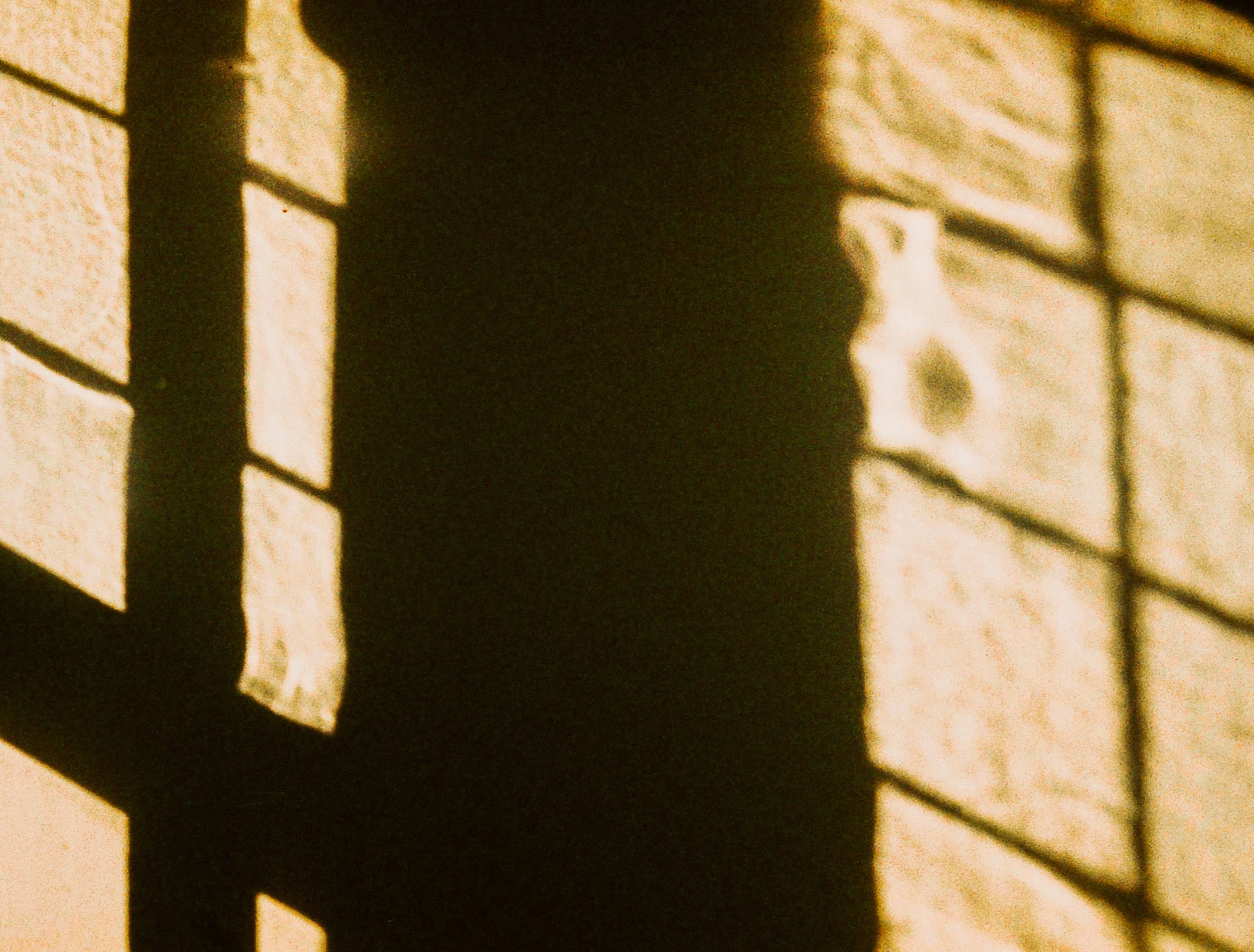 Quella sera dorata_2.jpg