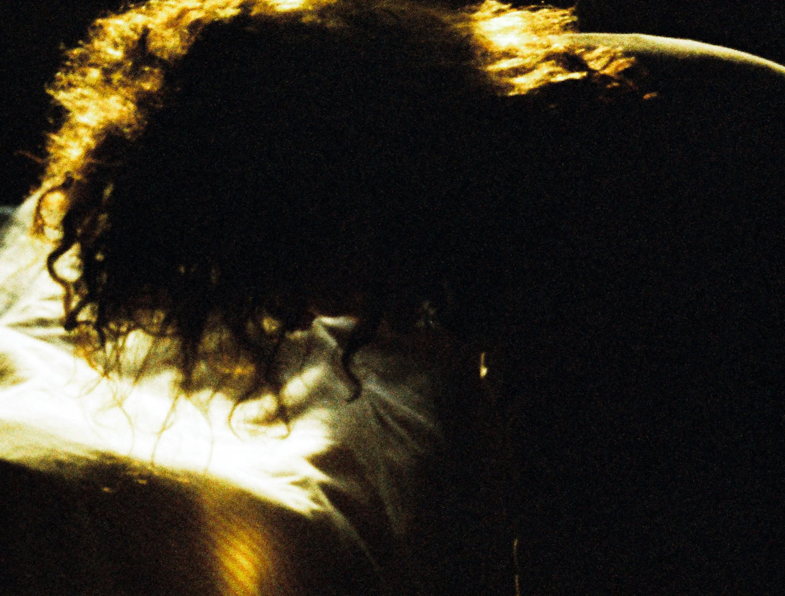 Quella sera dorata_5.jpg