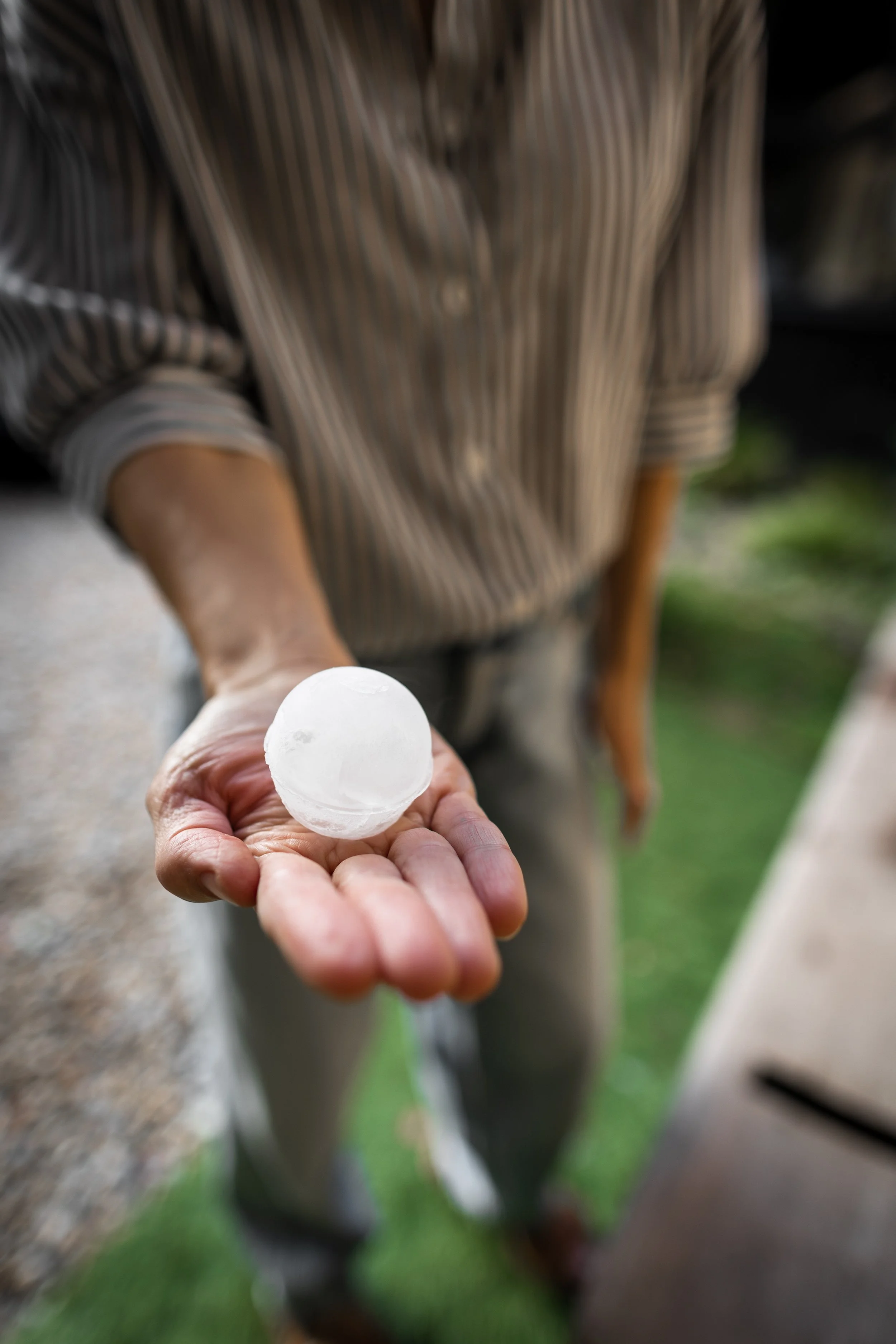 Songbird Launch 2nd batch-83.jpg