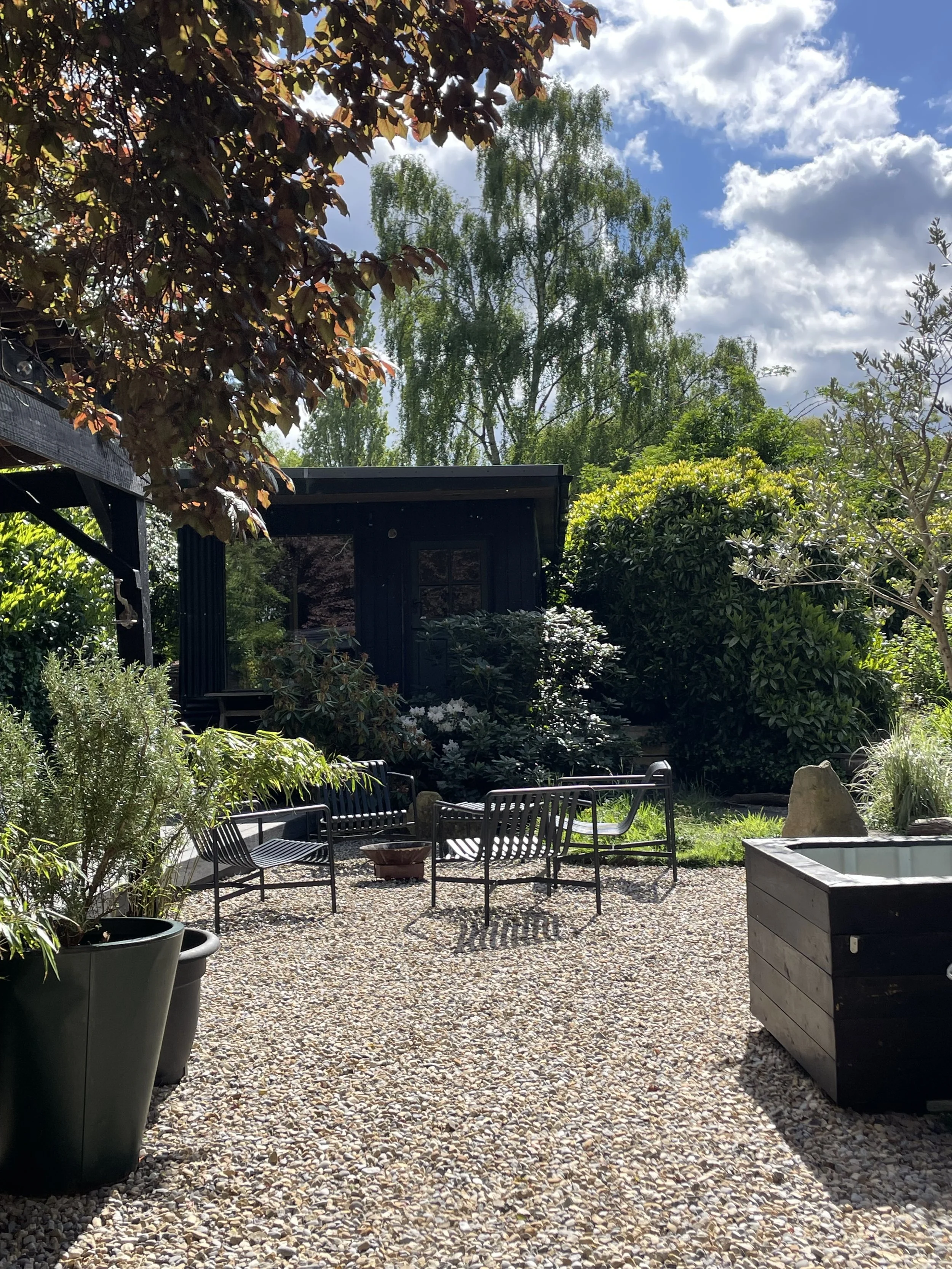 View from sauna of plants in the garden.