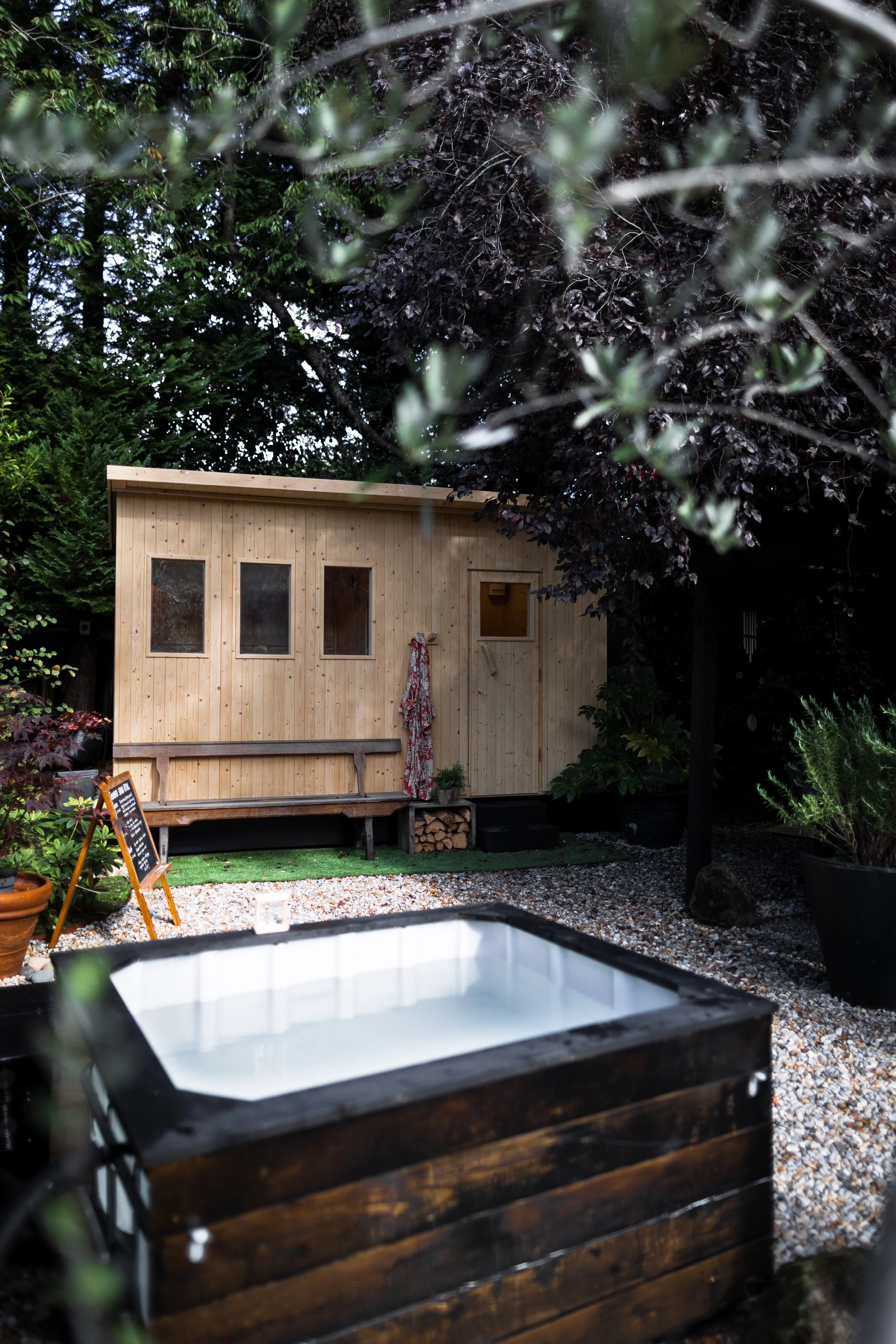 Songbird Launch-13.jpg