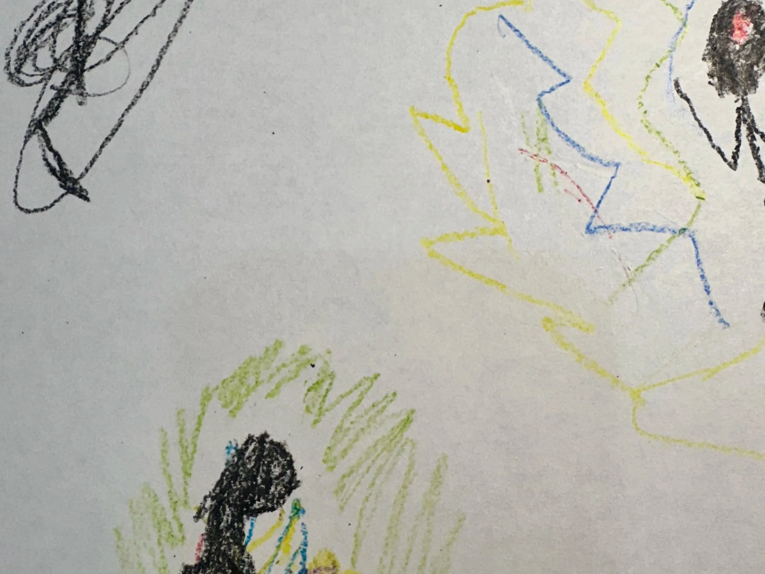IMG_1948.jpg