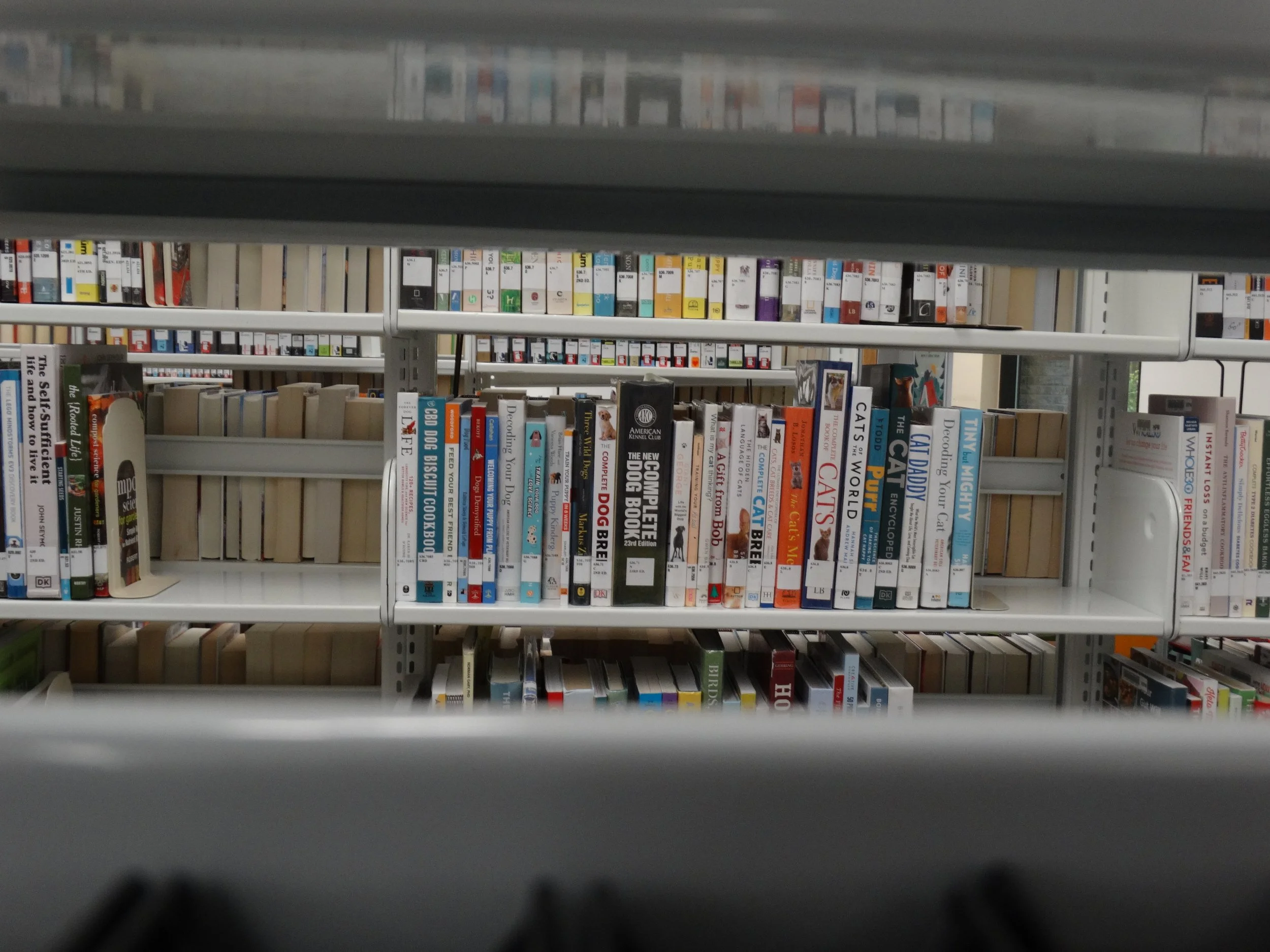 DSC01882.jpeg