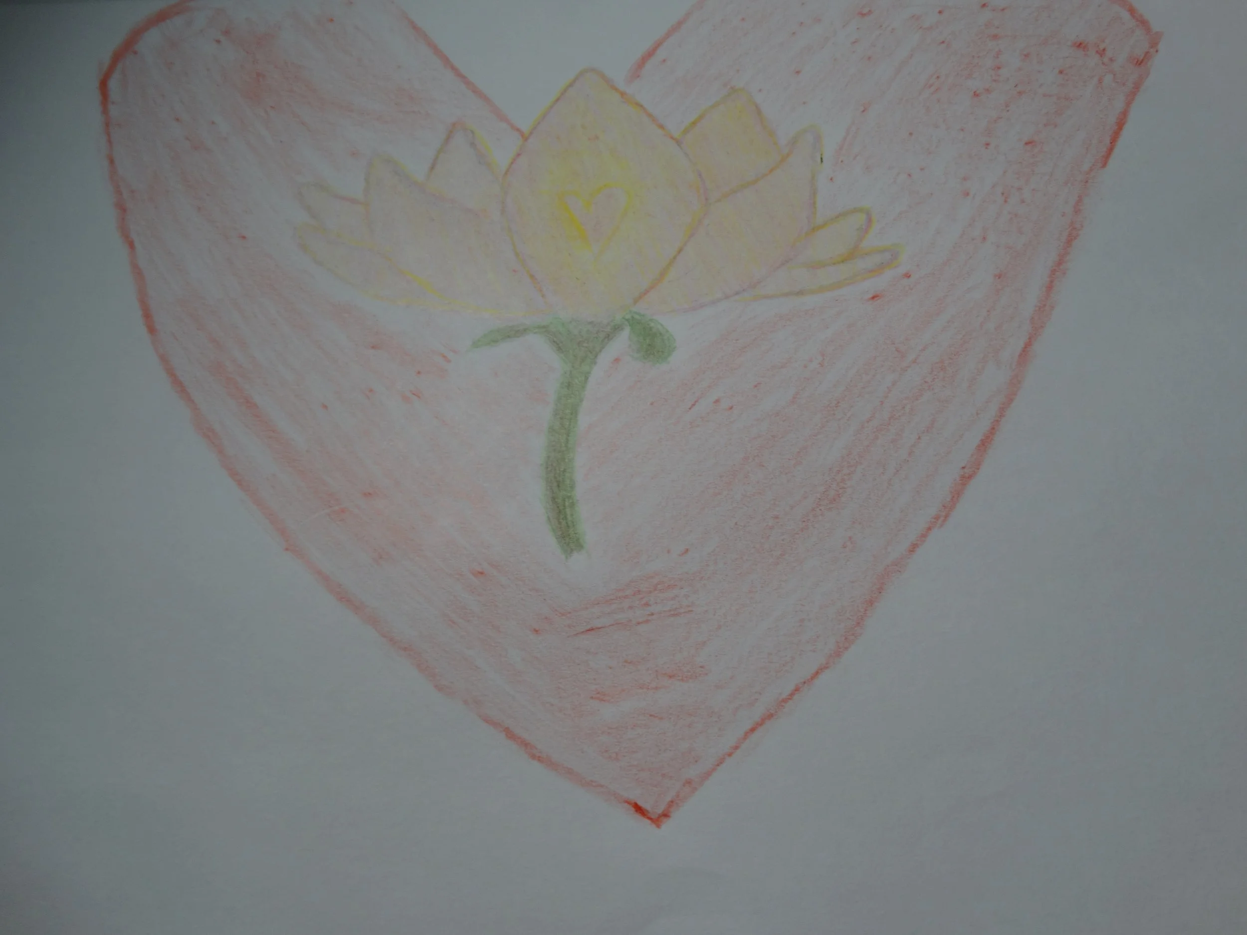 DSC01902.jpeg