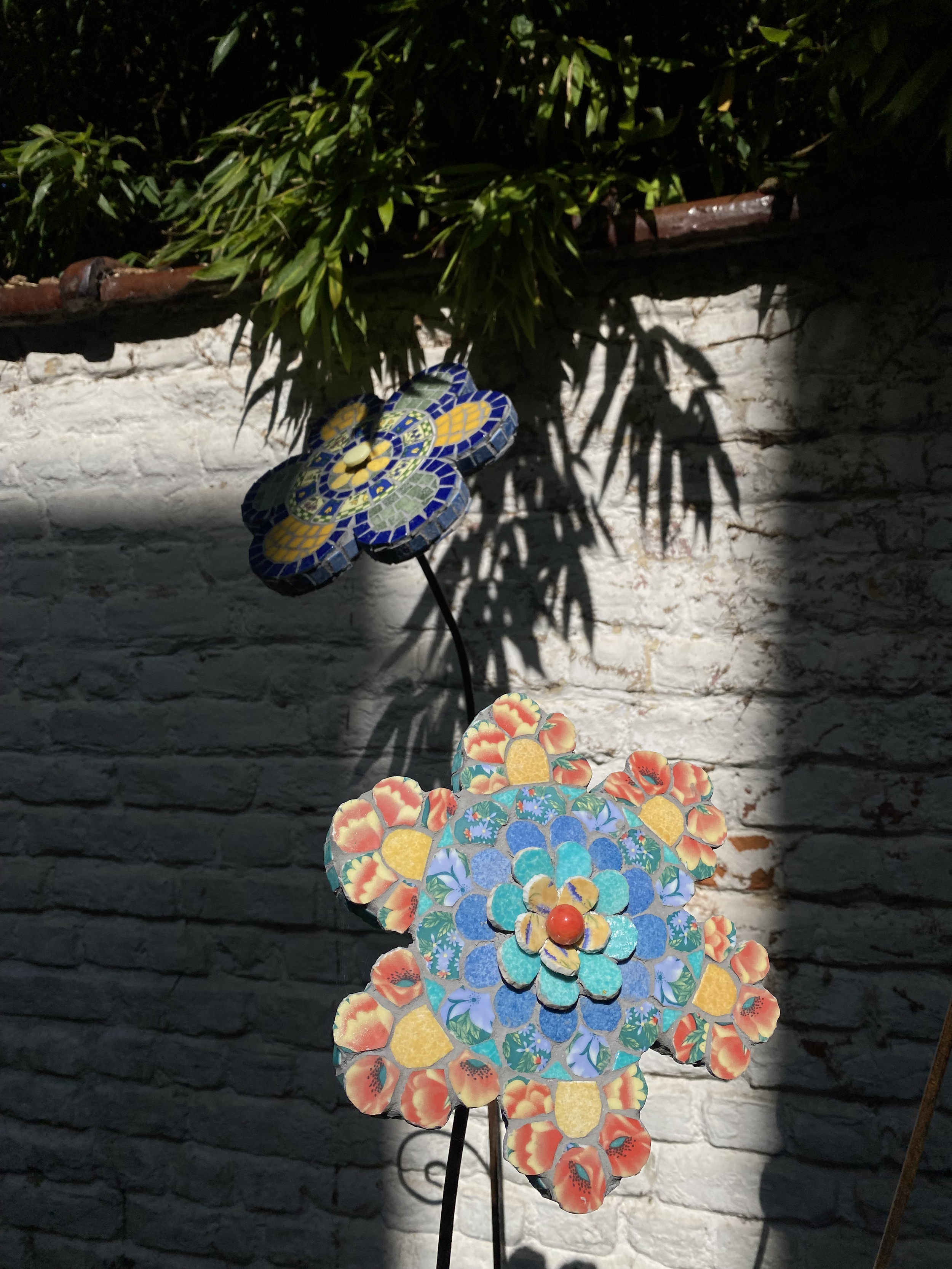 IMG_6572.png