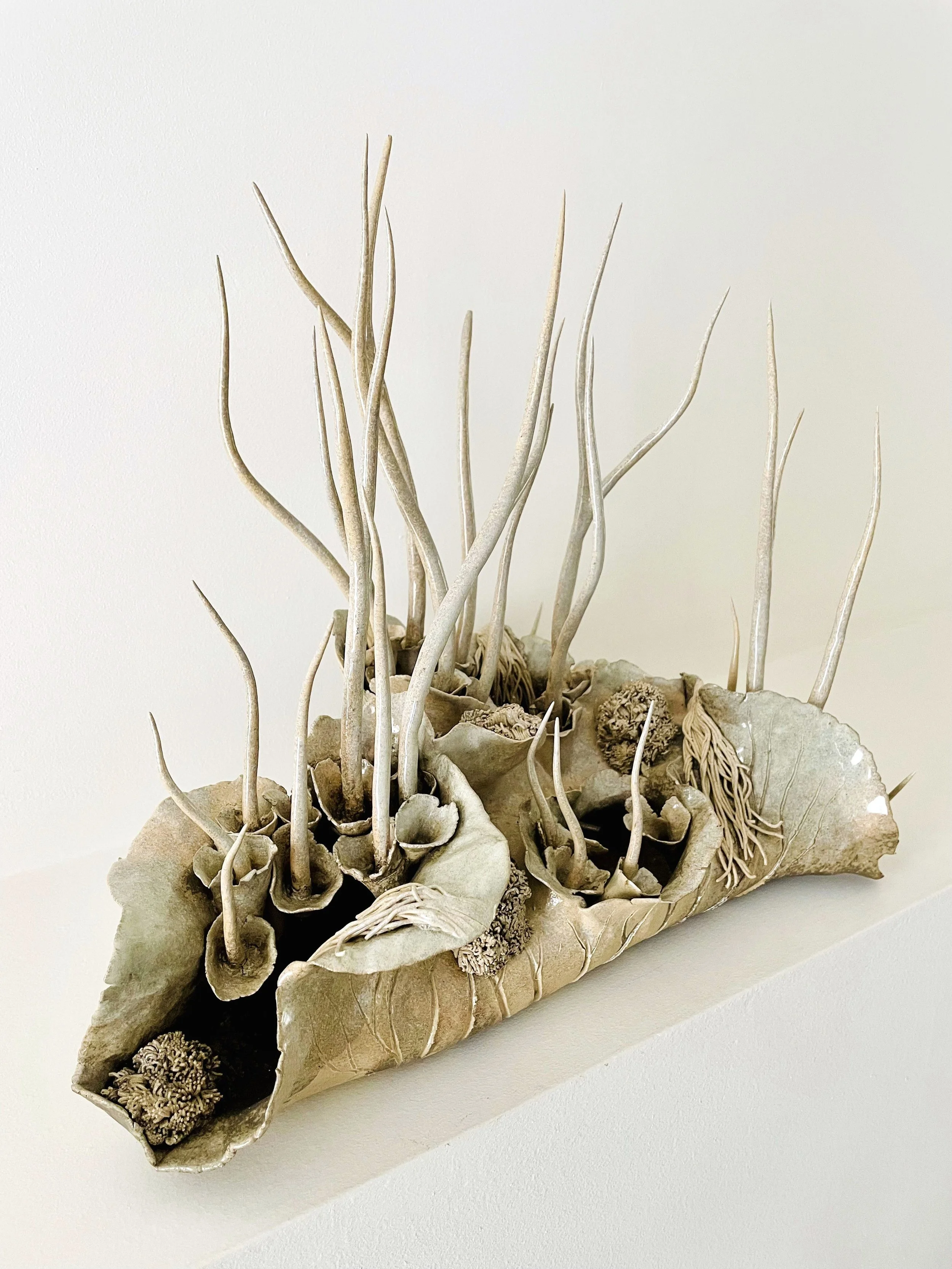 I. Gautherot_Art.borescences_Resurgences-Reedition_2.jpg
