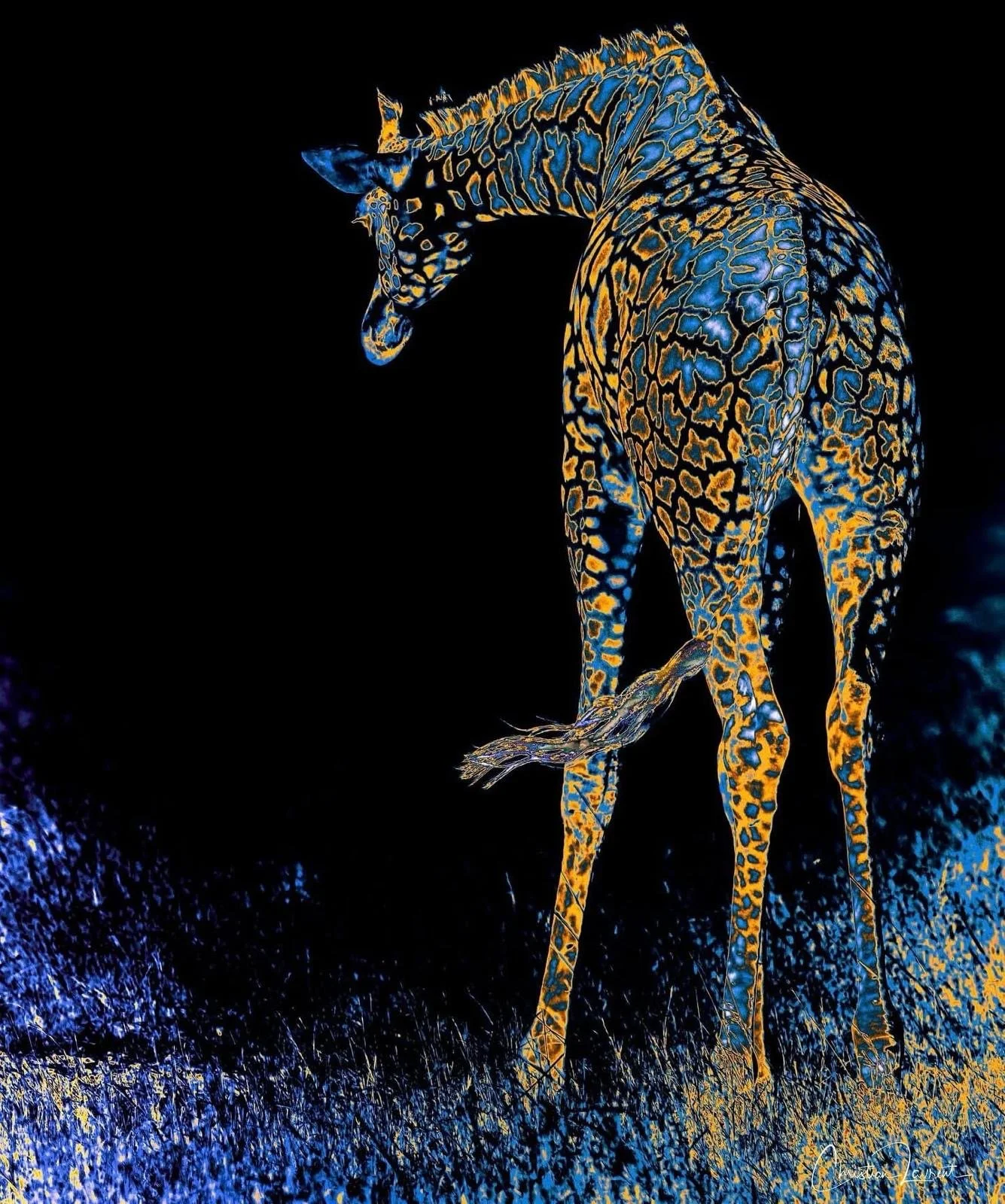 Lady-120x90.jpg