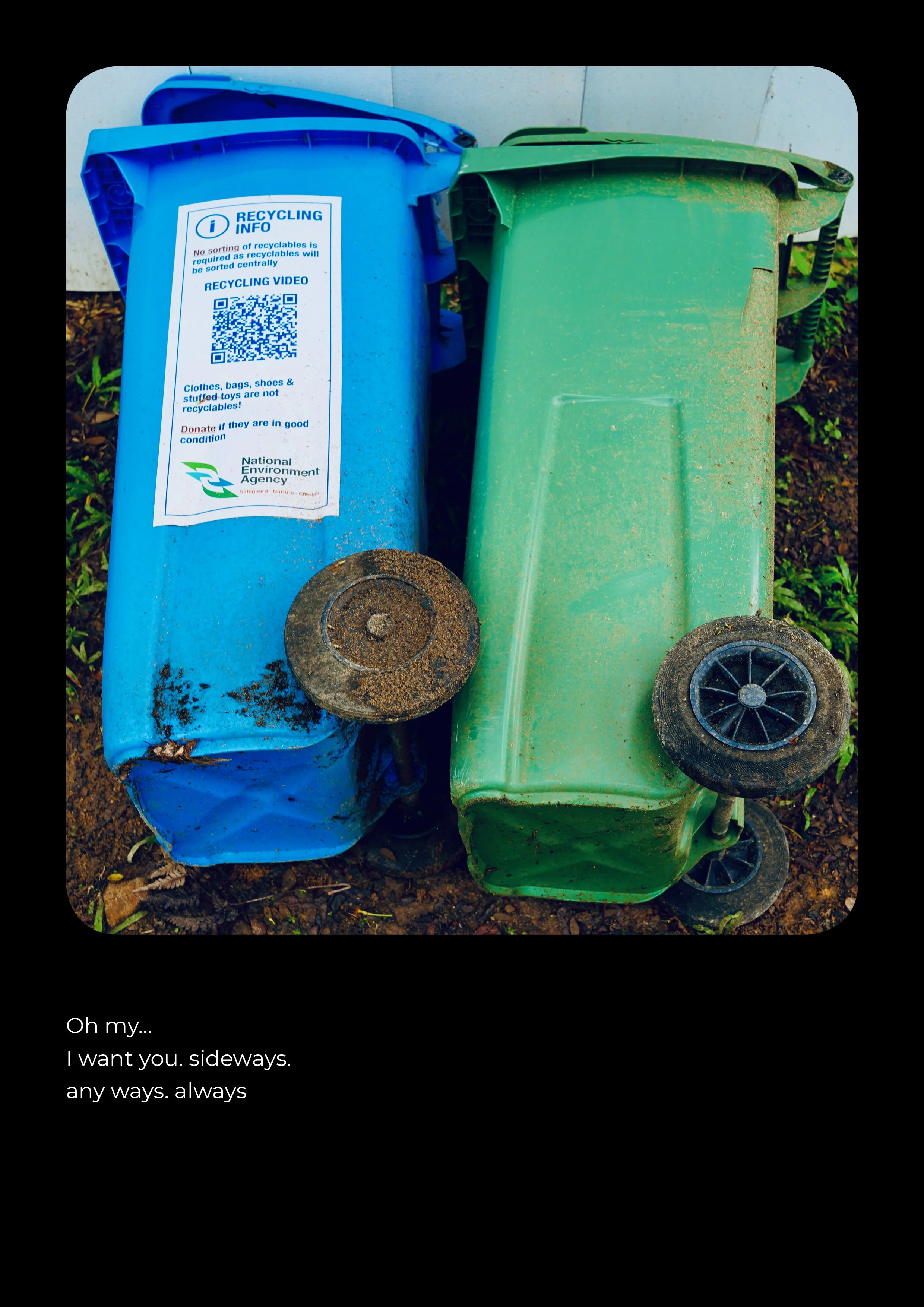 verticale gaetane2.jpg