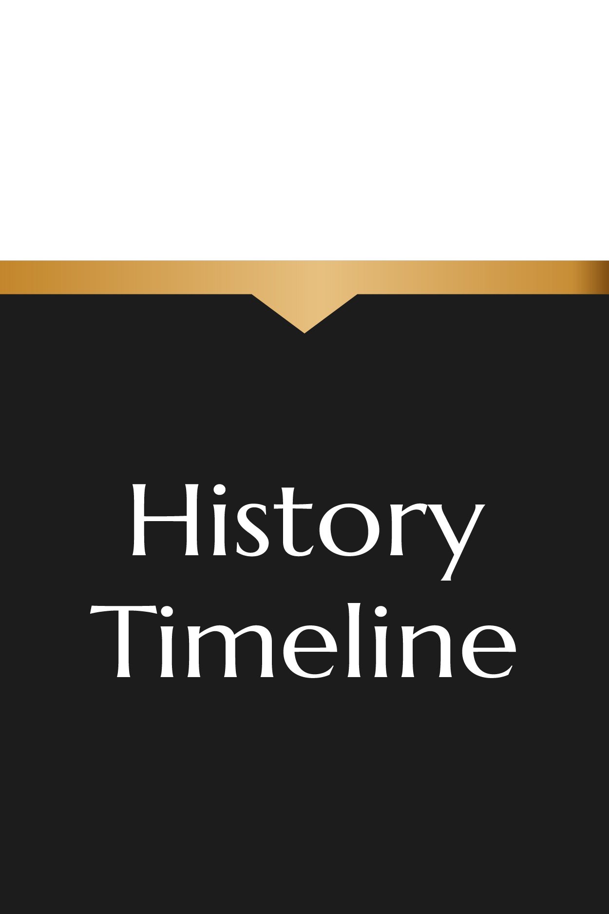 Book cover with the title 'History Timeline' on a black background with a white upper section and a brown stripe.