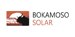 Logo of Bokamoso Solar featuring a sunset, a silhouette of a lion's head, and the company name.