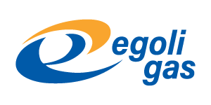 Egoli Gas company logo with a stylized 'e' and the words 'egoli gas' in blue.