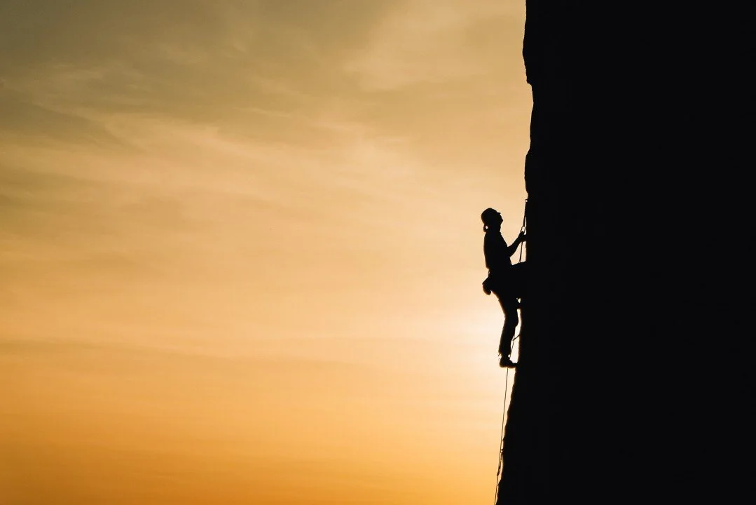 The Price of Progress: Developing Resilience for Improved Performance and Results