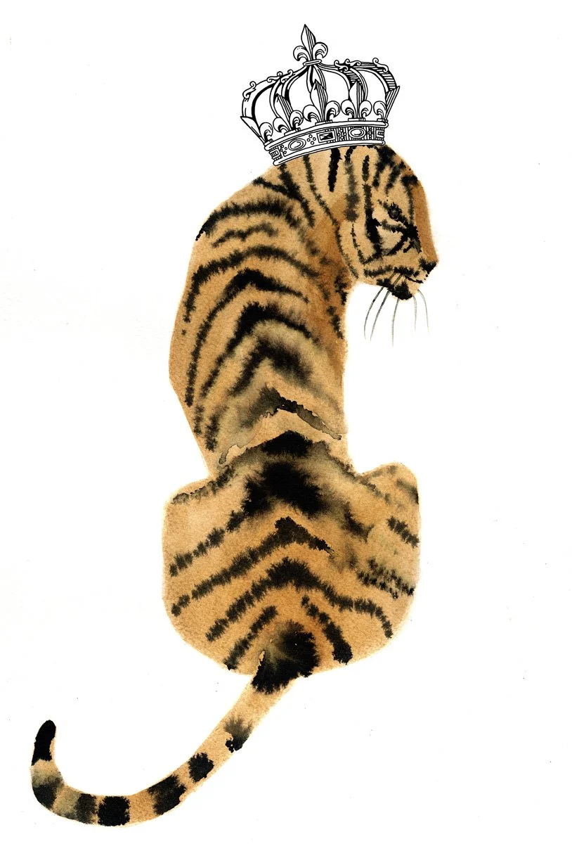 Tiger Illustration for Wild & Gorgeous ink on paper.