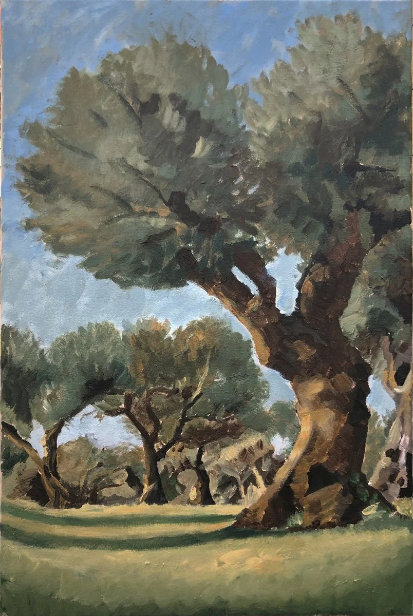 Olive Grove oil on canvas, H60cm x W40cm