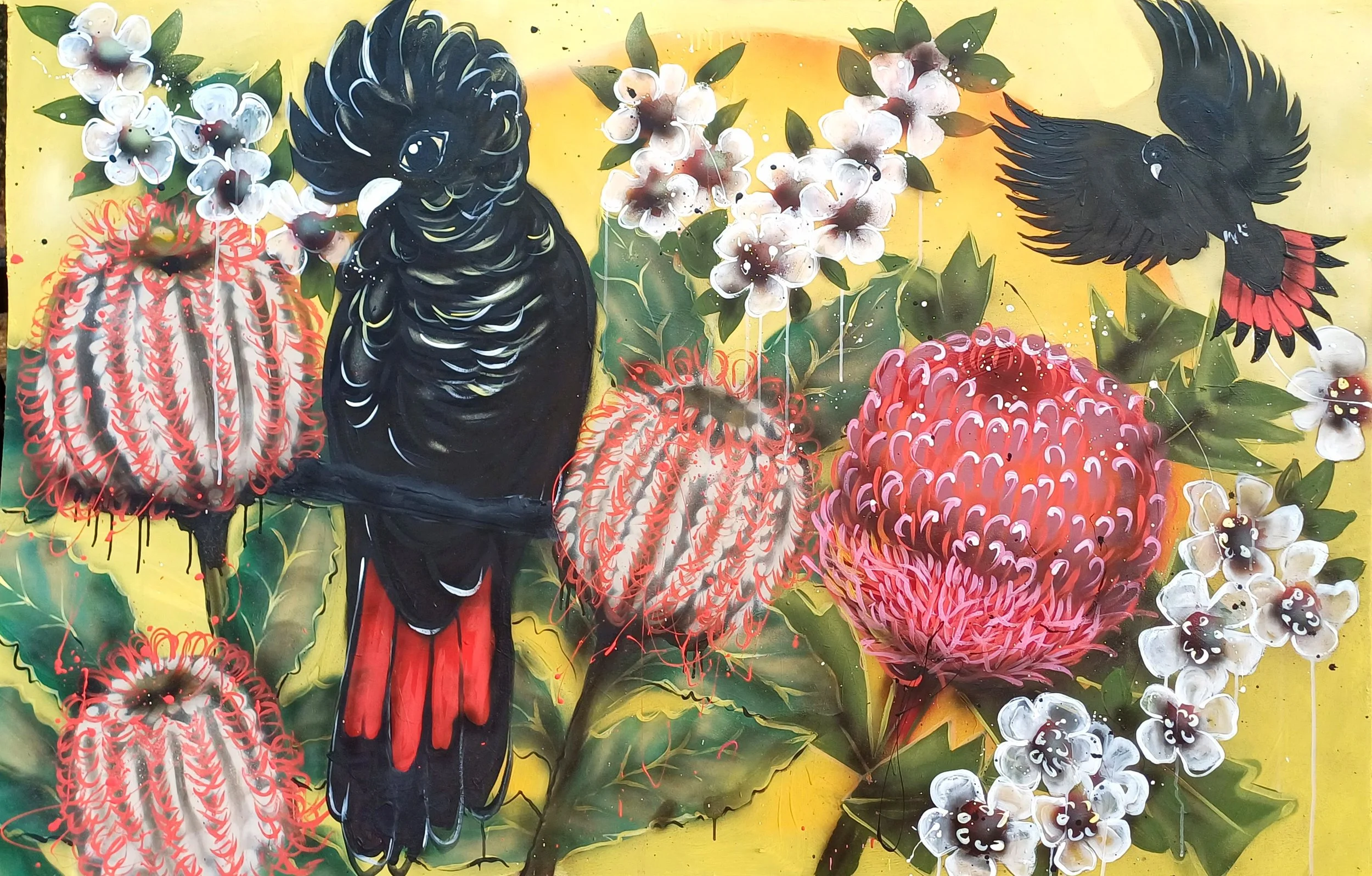 Local birds
