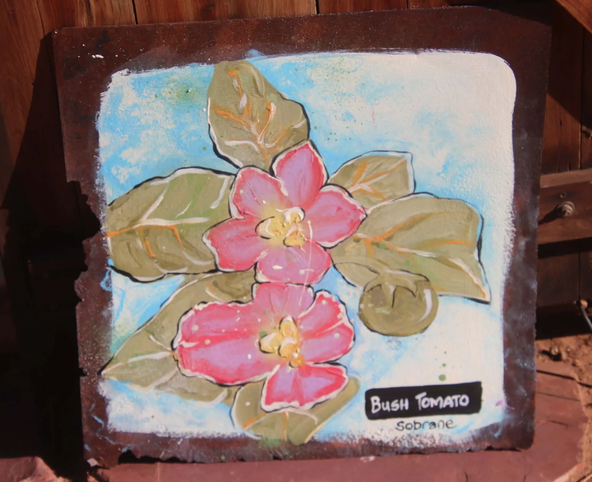 Bush Tomato original on old tin
