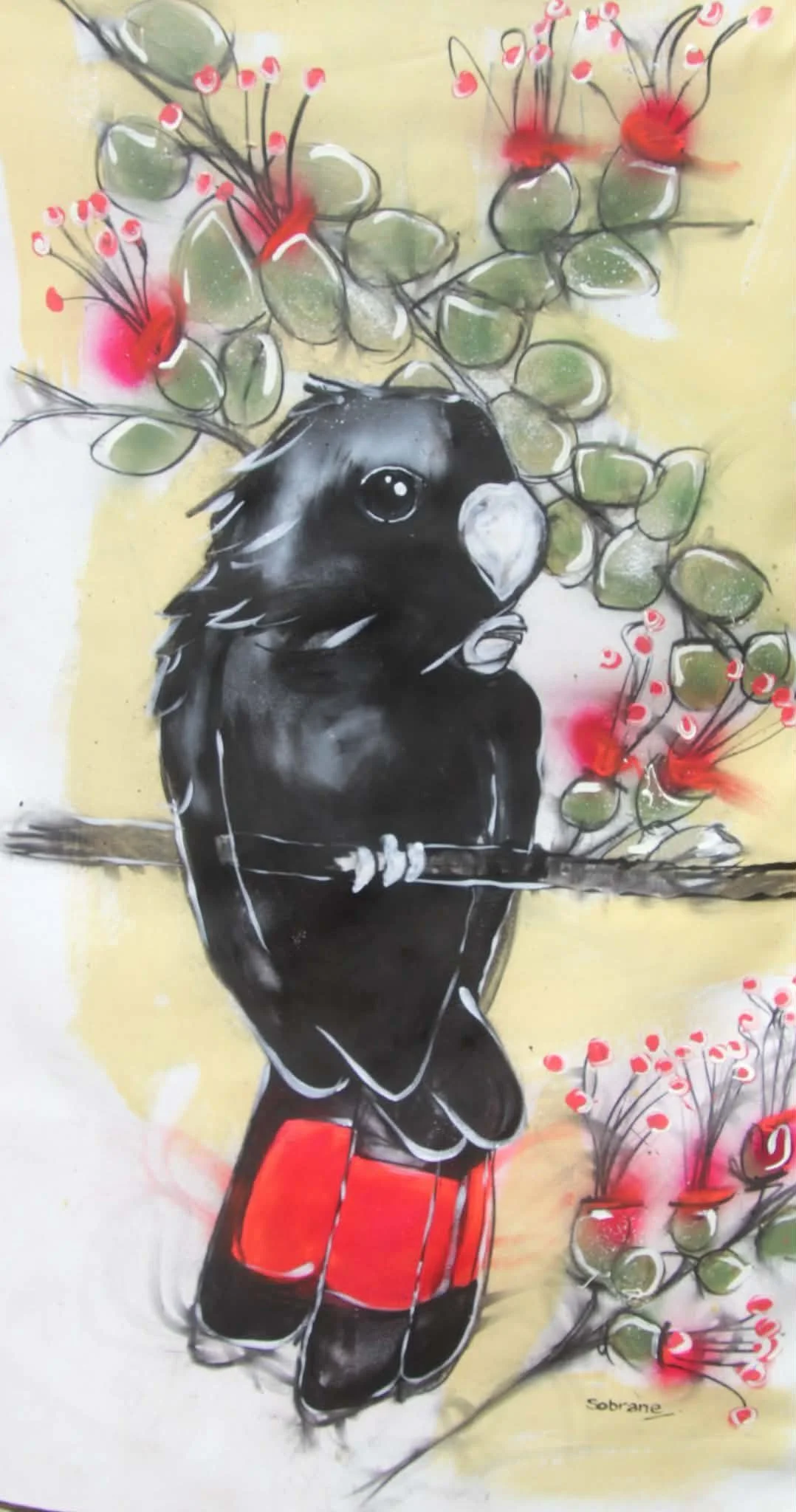 Redtail Black and Jigal tree