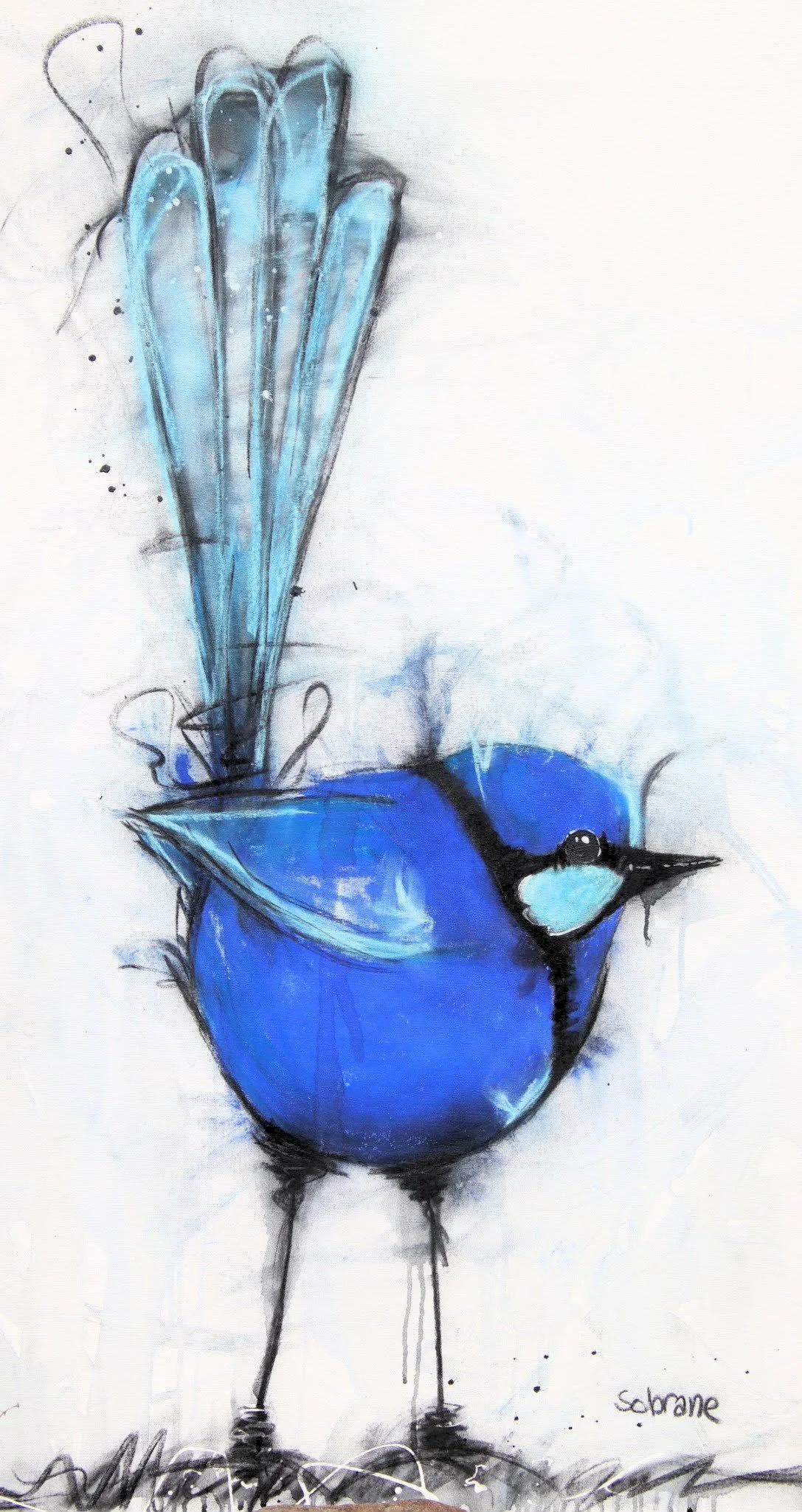 Splendid Blue Wren Original