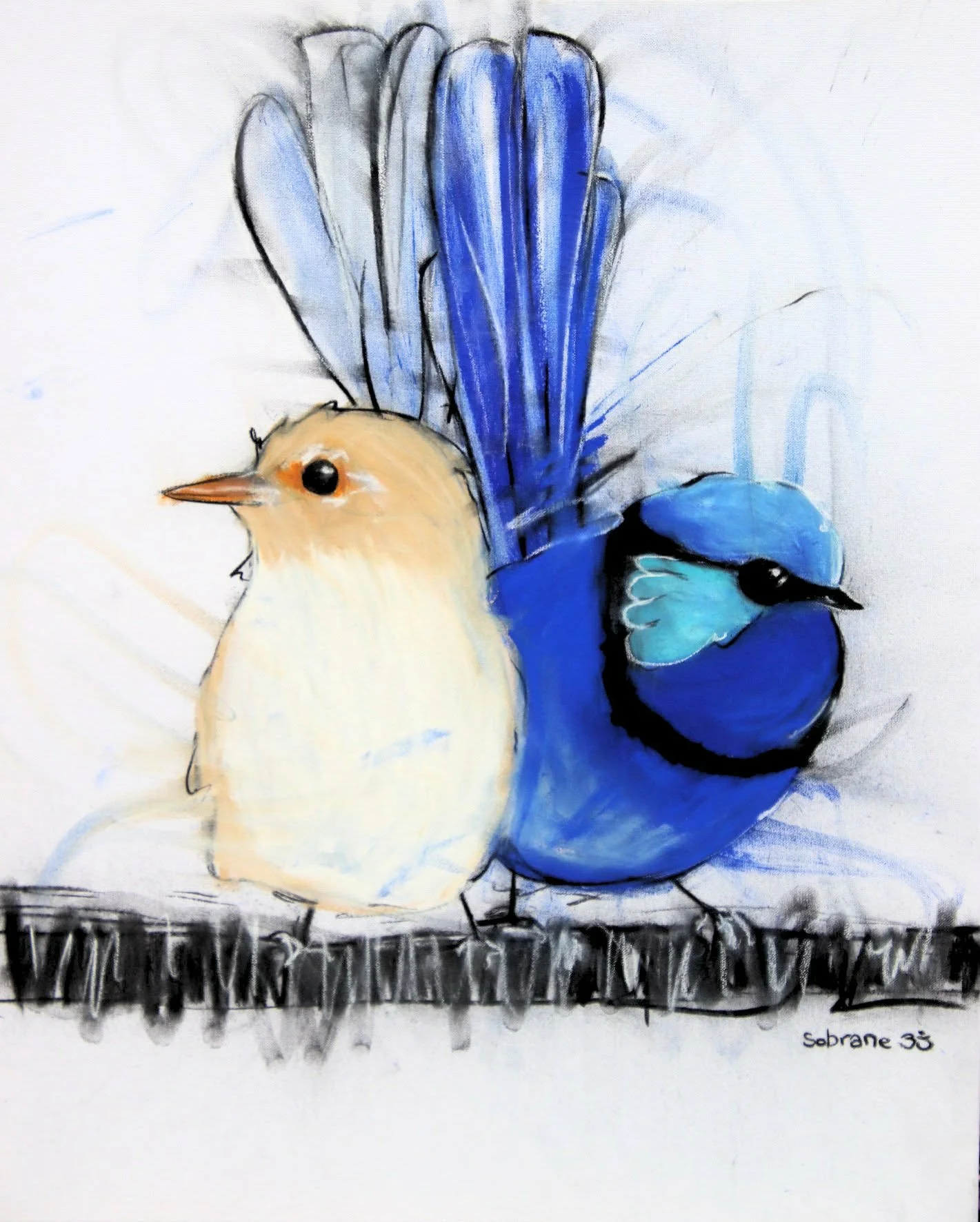 Blue Wren Duo