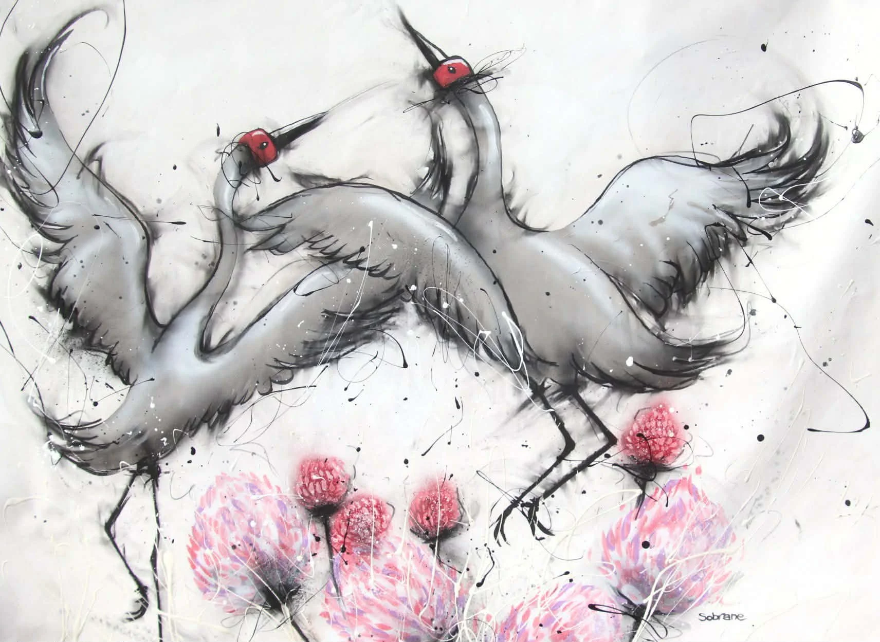 Brolgas dancing in Kimberley flowers