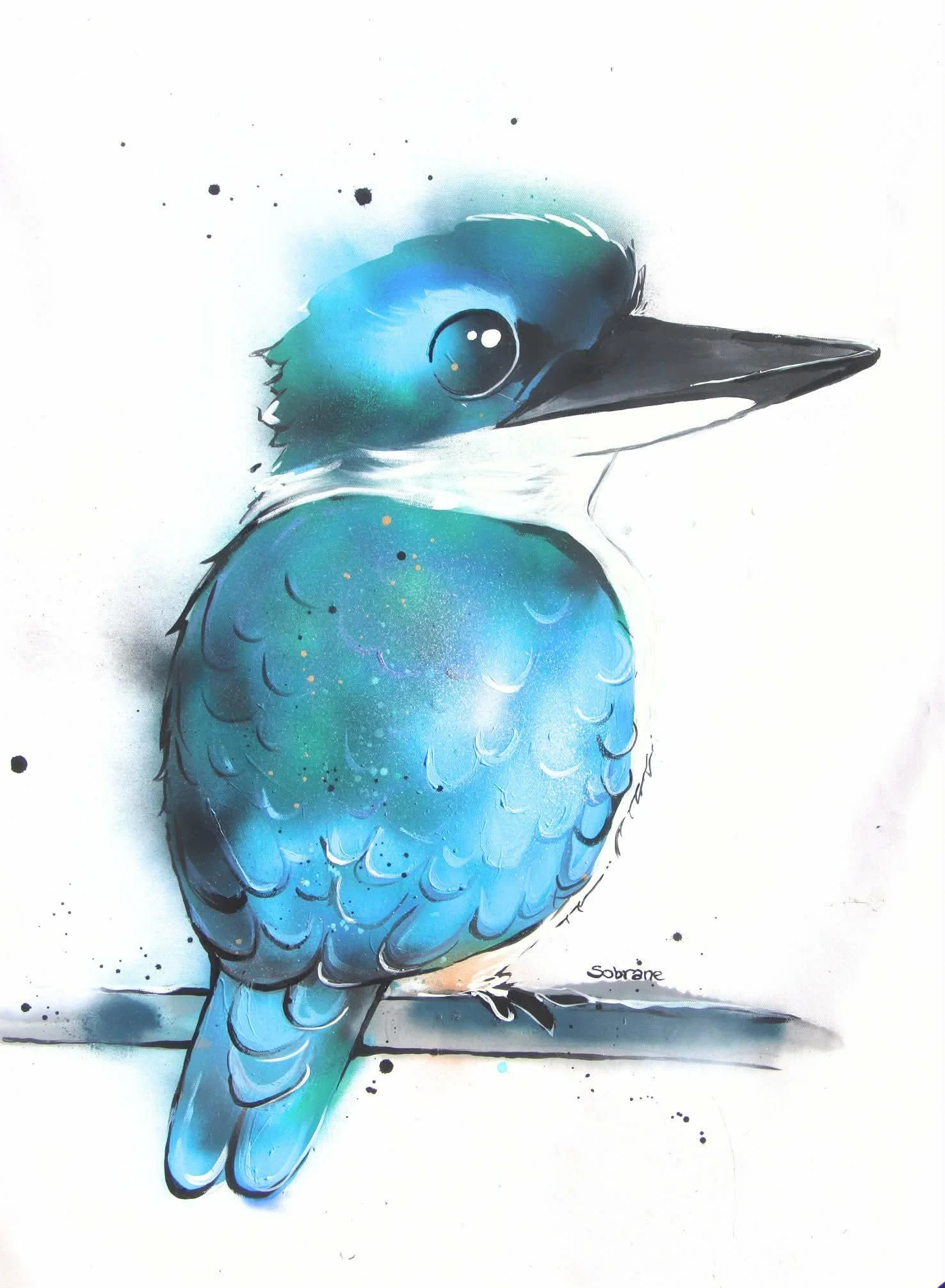 Sacred Kingfisher