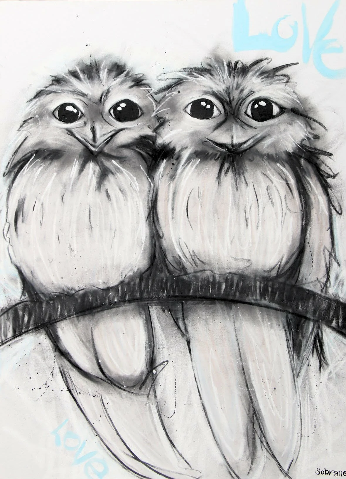Owls