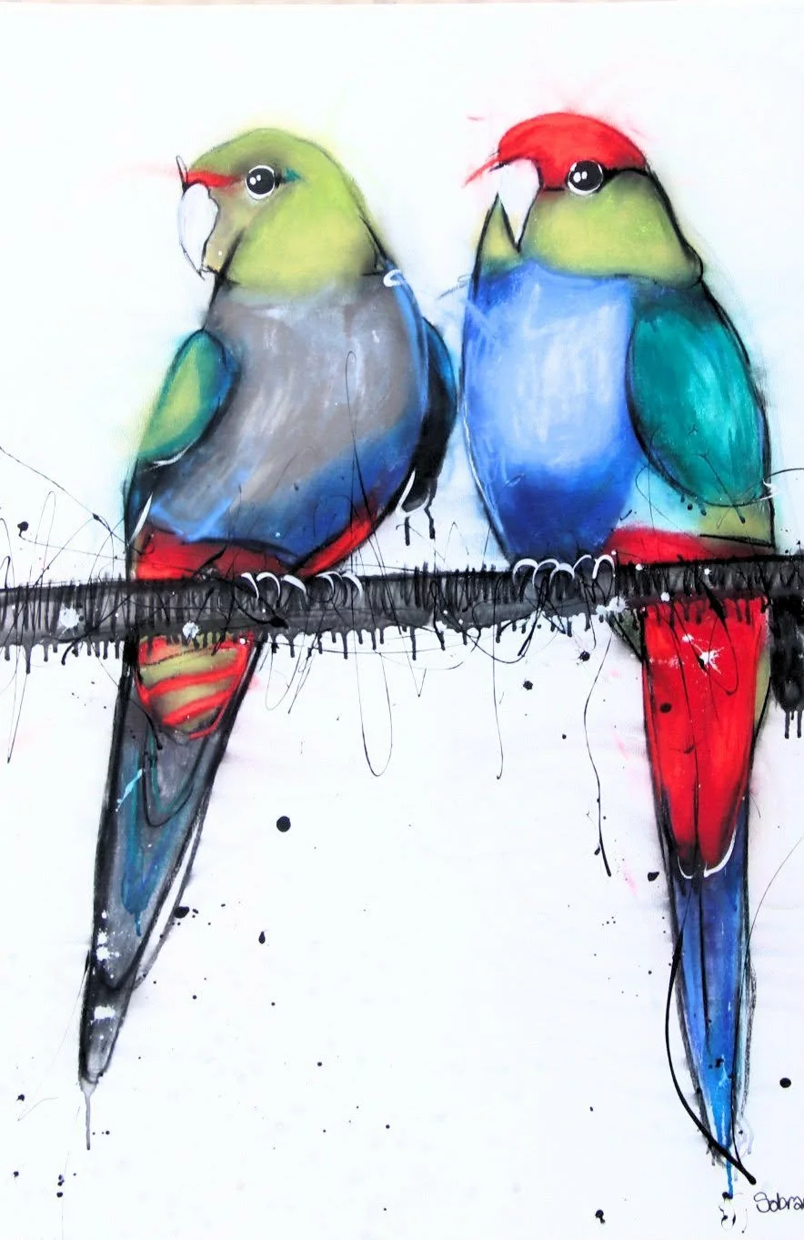 Parrot Duo