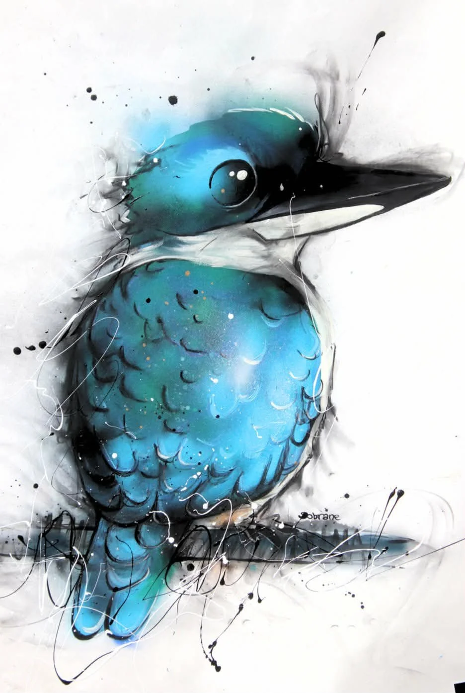 Sacred Kingfisher