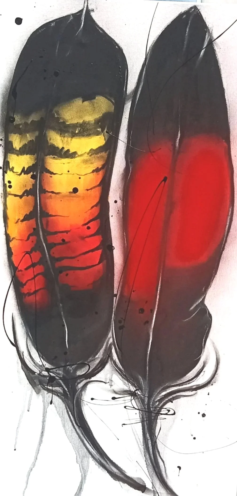 Redtail feathers