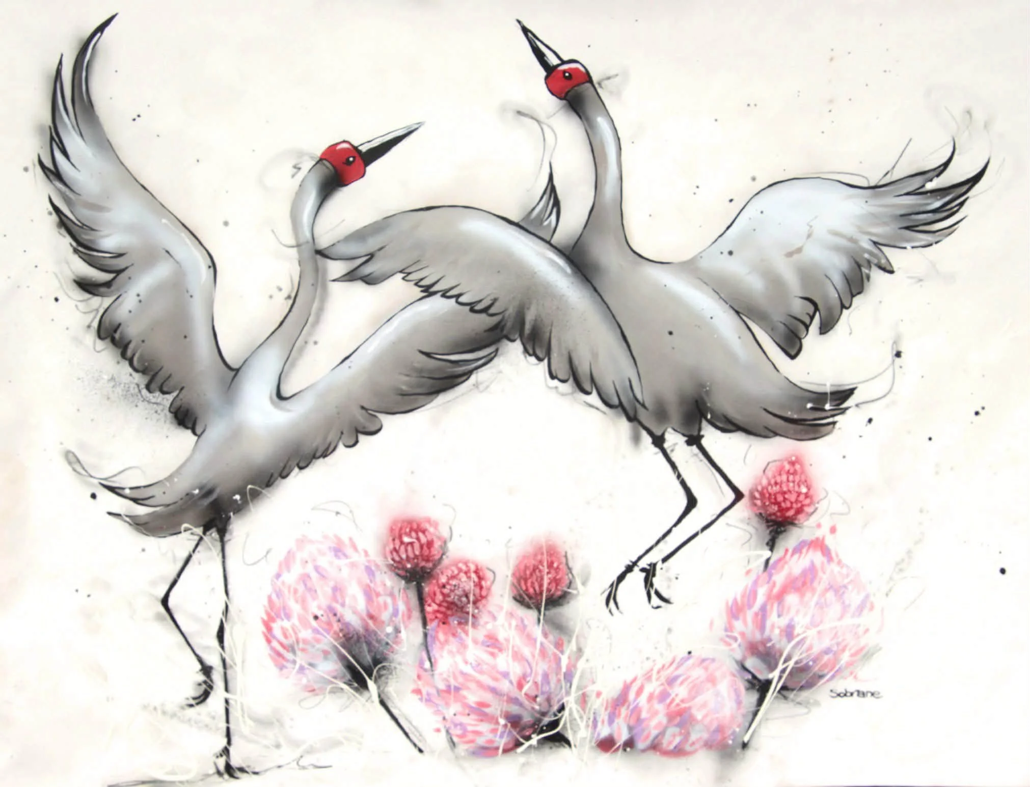 Brolgas dancing in Kimberley flowers