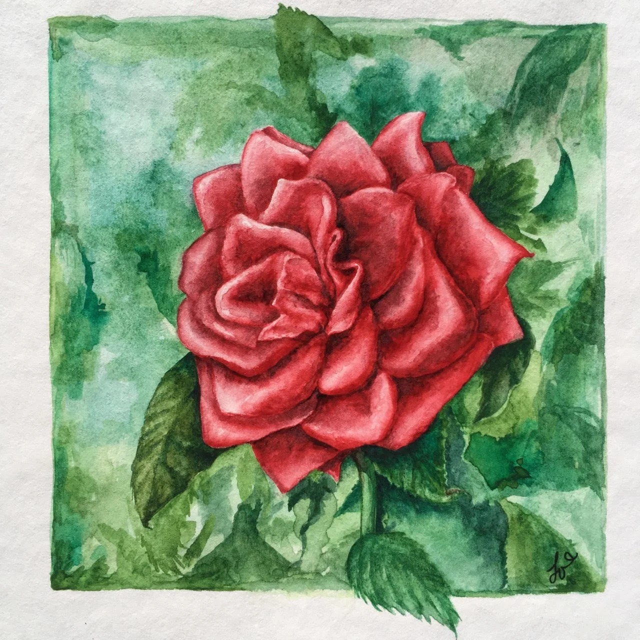 Rosebush