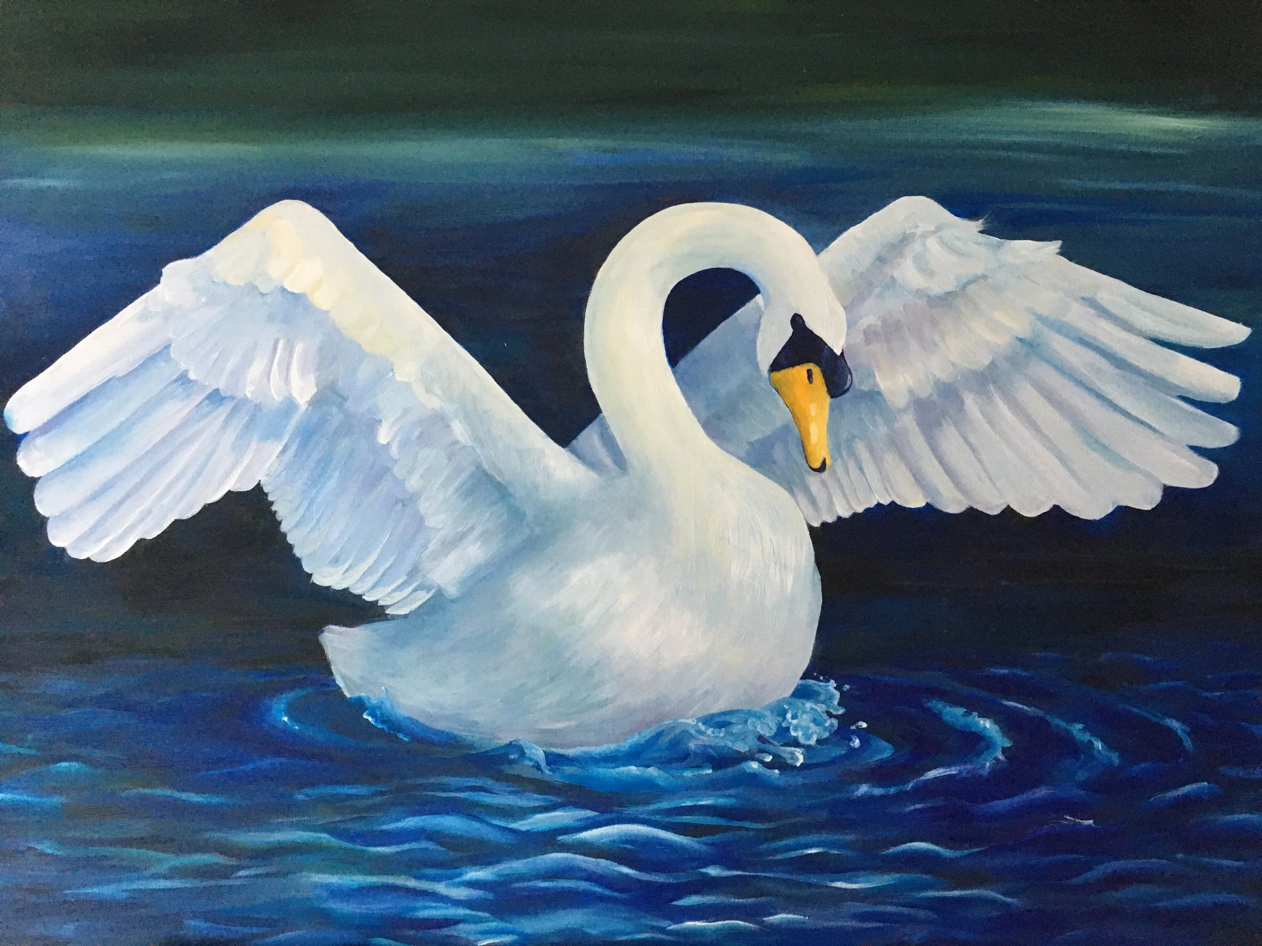 Swan