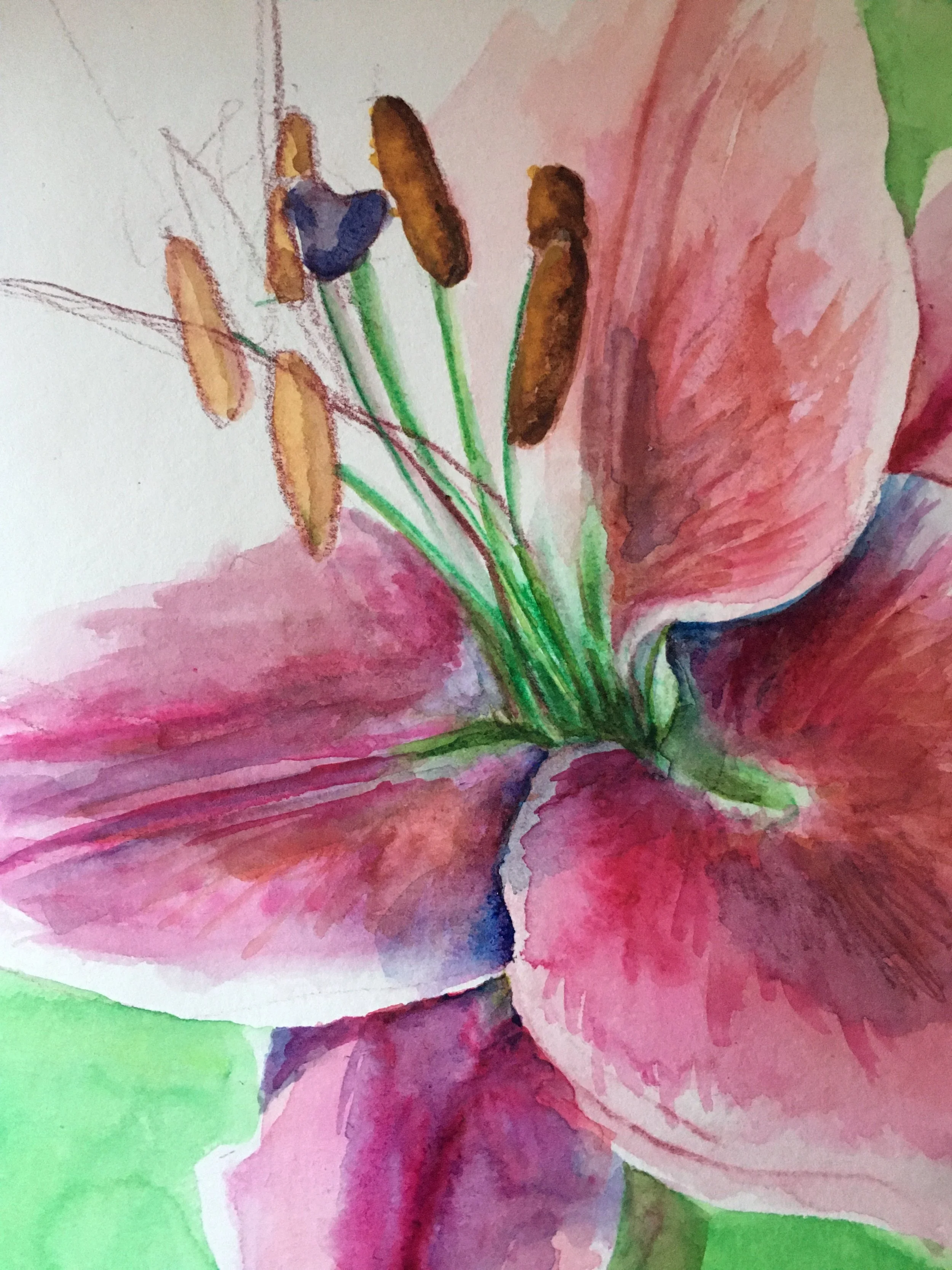Lilies II
