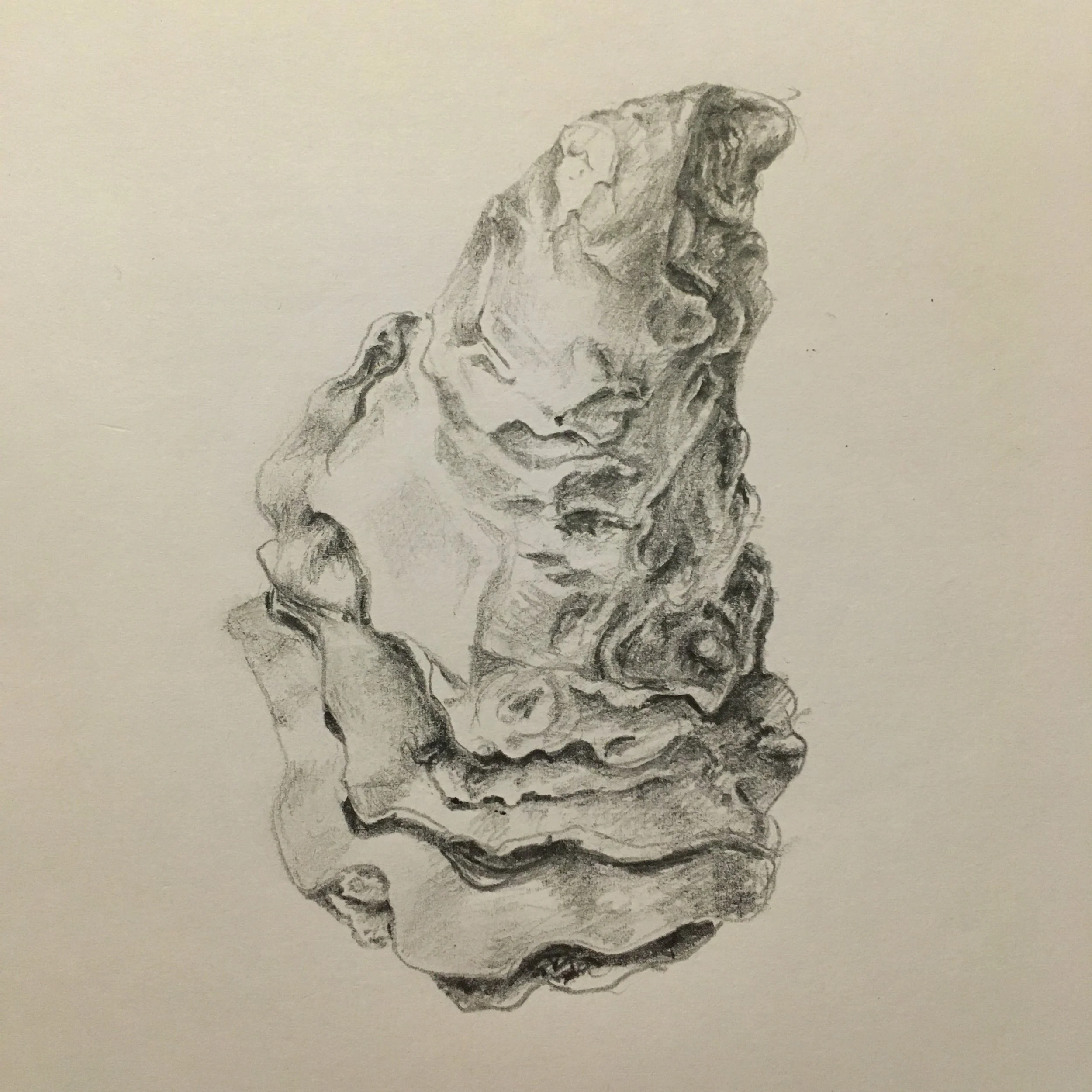 Oyster Dress