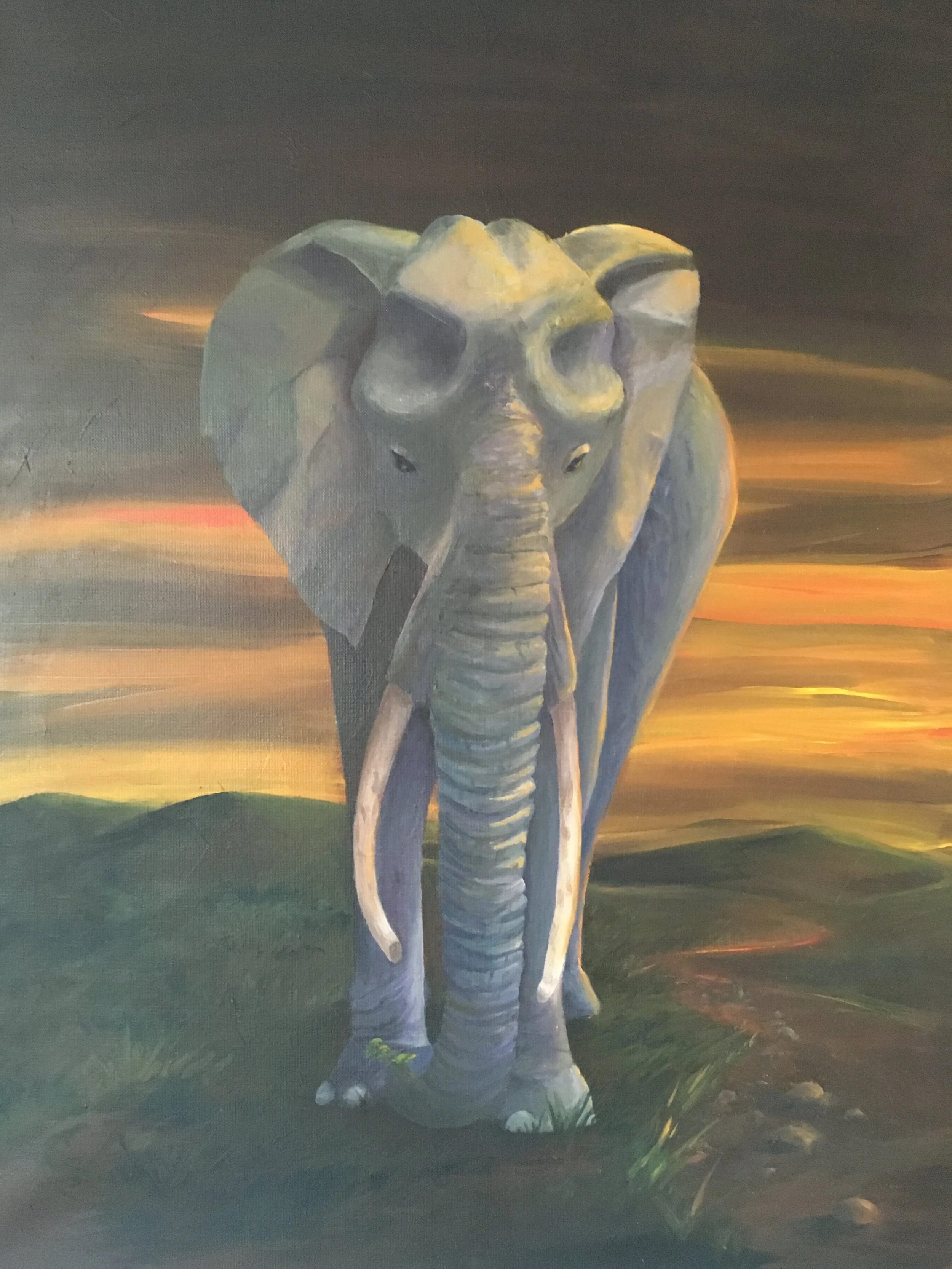 Elephant