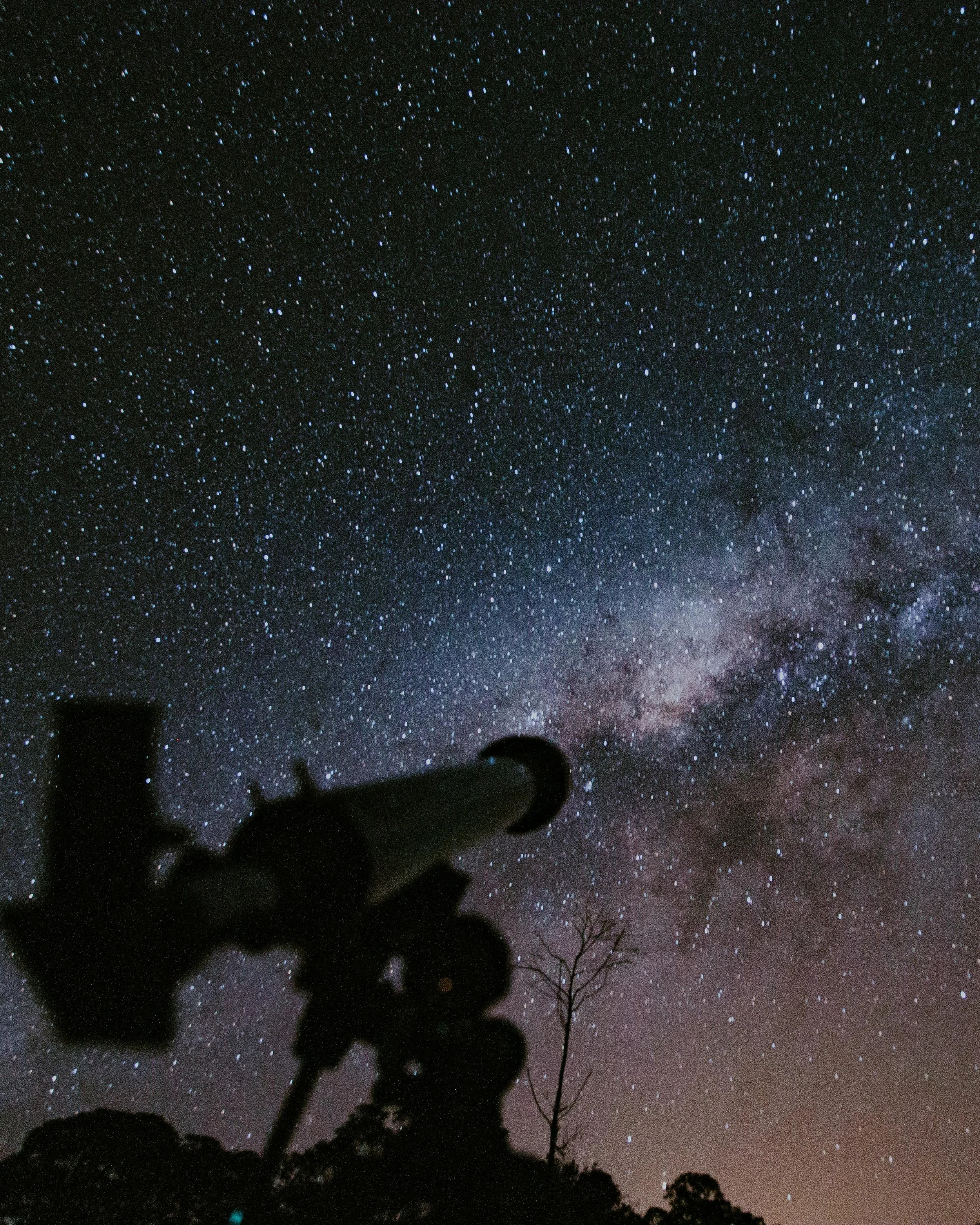 Télescope pointé vers un ciel étoilé et la voie lactée avec silhouettes d'arbres à la base.