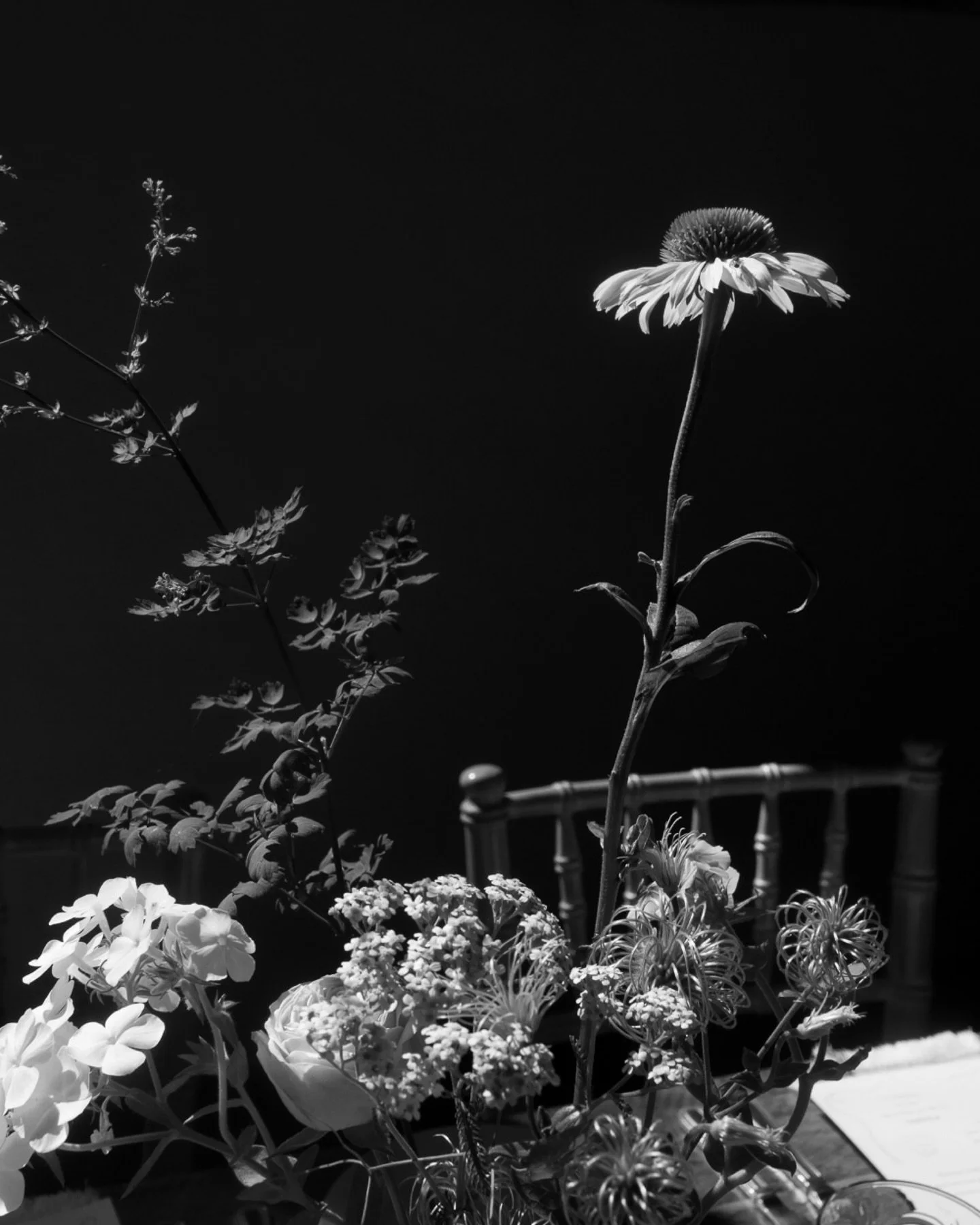 So excited to have Kate &amp; Nick&rsquo;s wholesome @curdshallbarn wedding on my website (link in bio). Still feel so much warmth and love looking at their photos ✨
.
.
.
.
Norfolk wedding photographer Curds Hall Barn wedding
#curdshallbarn #norfolk