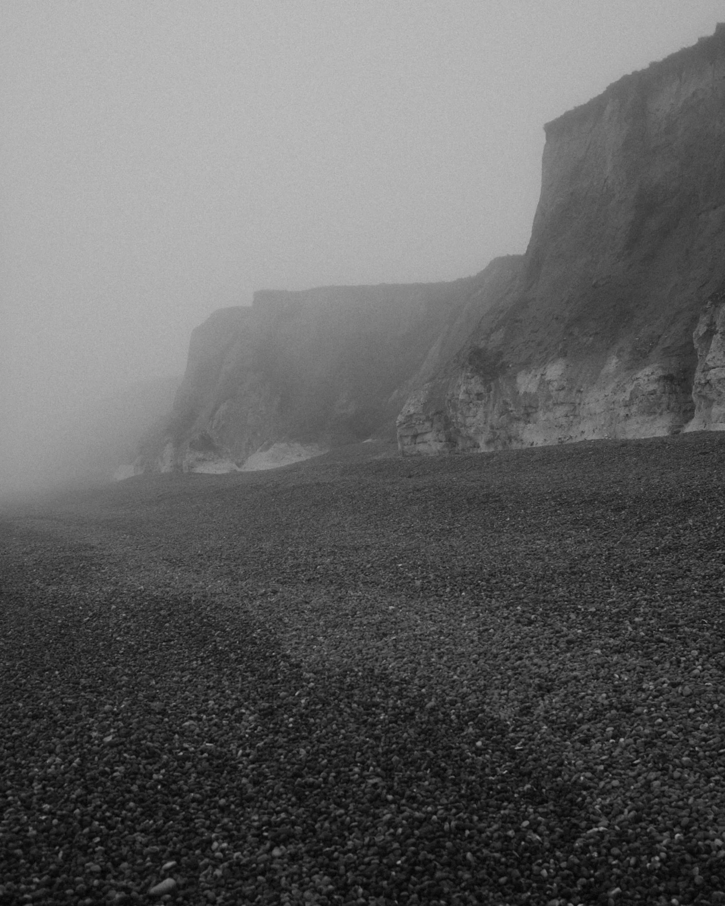 winter notes #3 yesterday&rsquo;s sun was nice, but today reminded us that it is still winter and it&rsquo;s okay not to rush. patches of daffodils, tree buds emerging and birds singing louder than ever are subtle hints that spring equinox is a few w