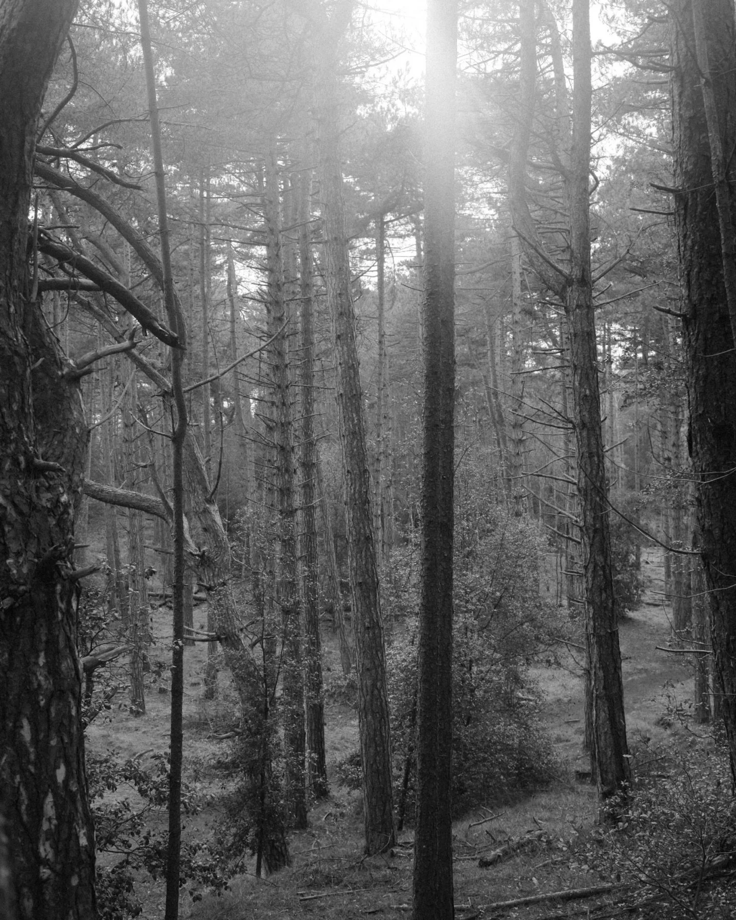 winter notes #2 wells-next-the-sea, norfolk