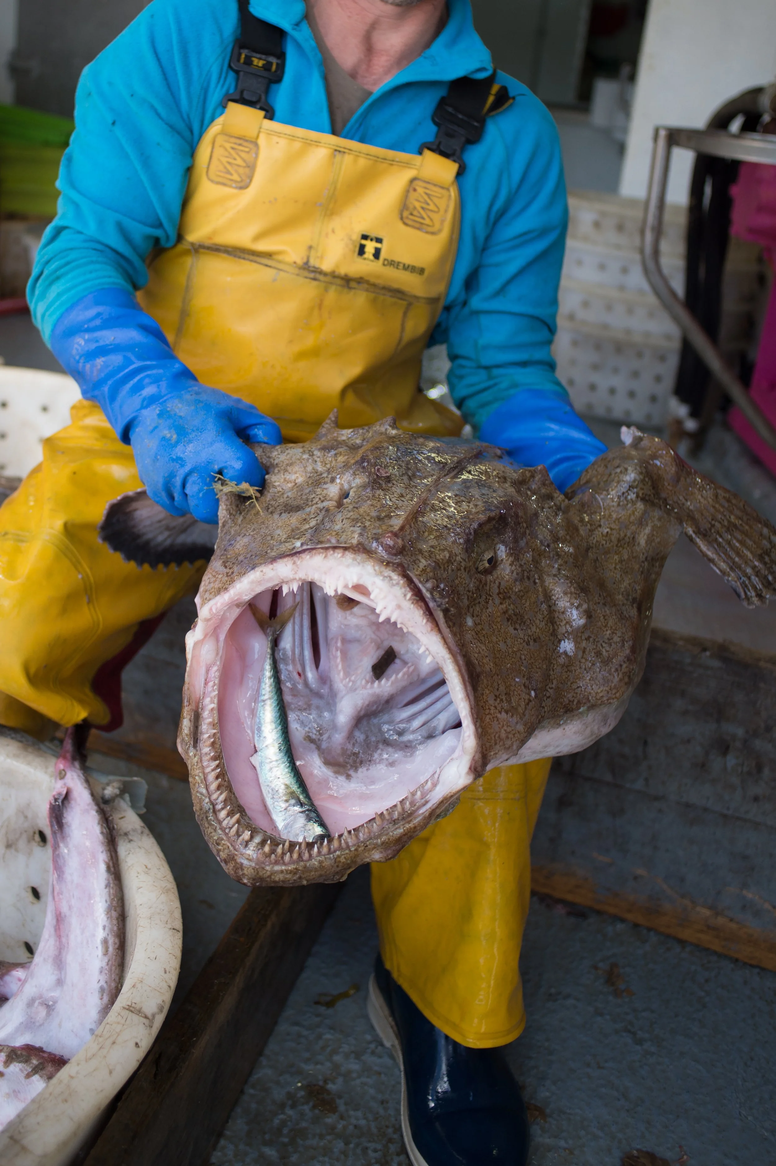 Bassin-Mag "4 jours sur le Hollandais Volant"