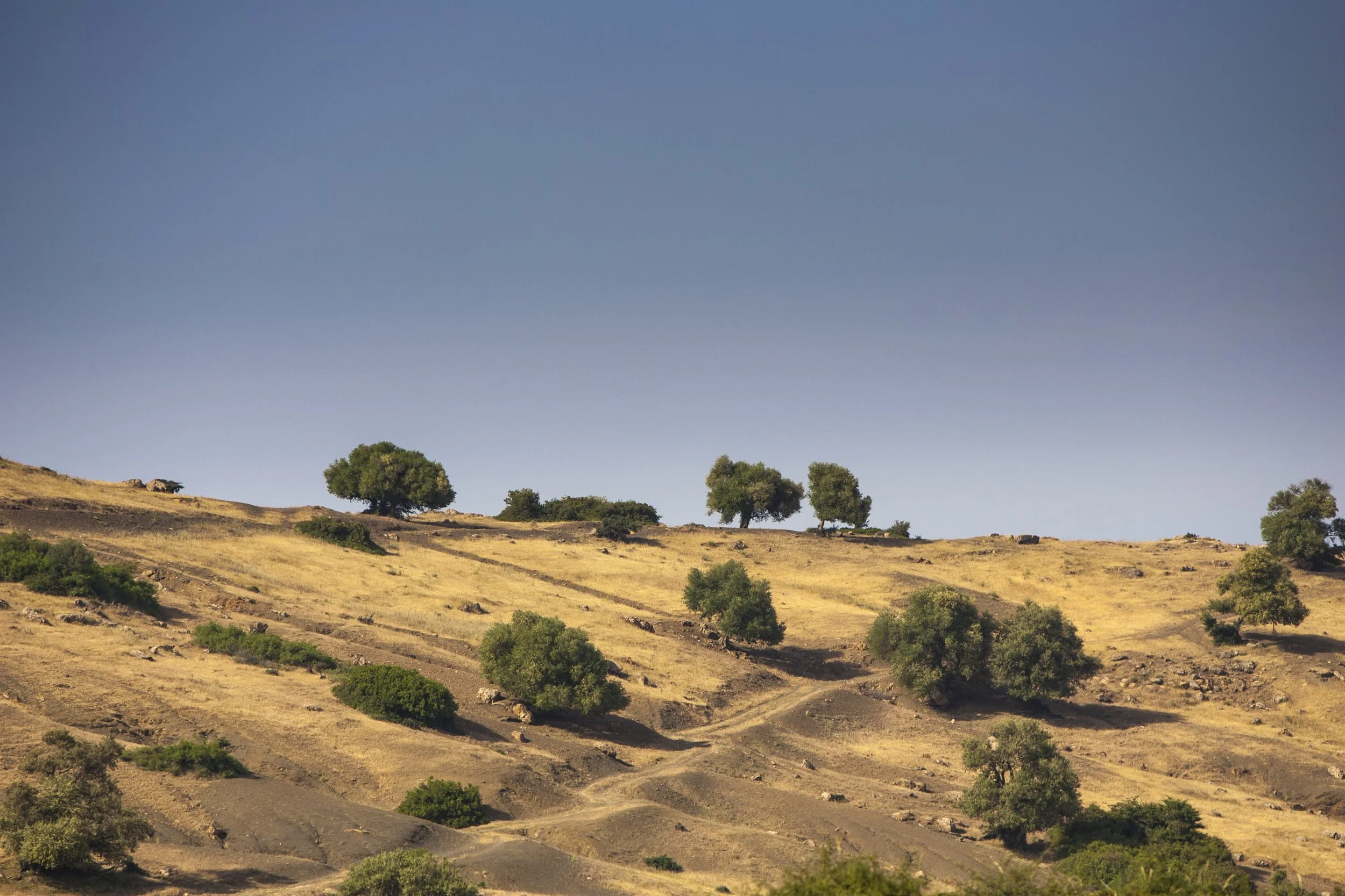 "Hasard du temps" - Paysage d'Albert Camus