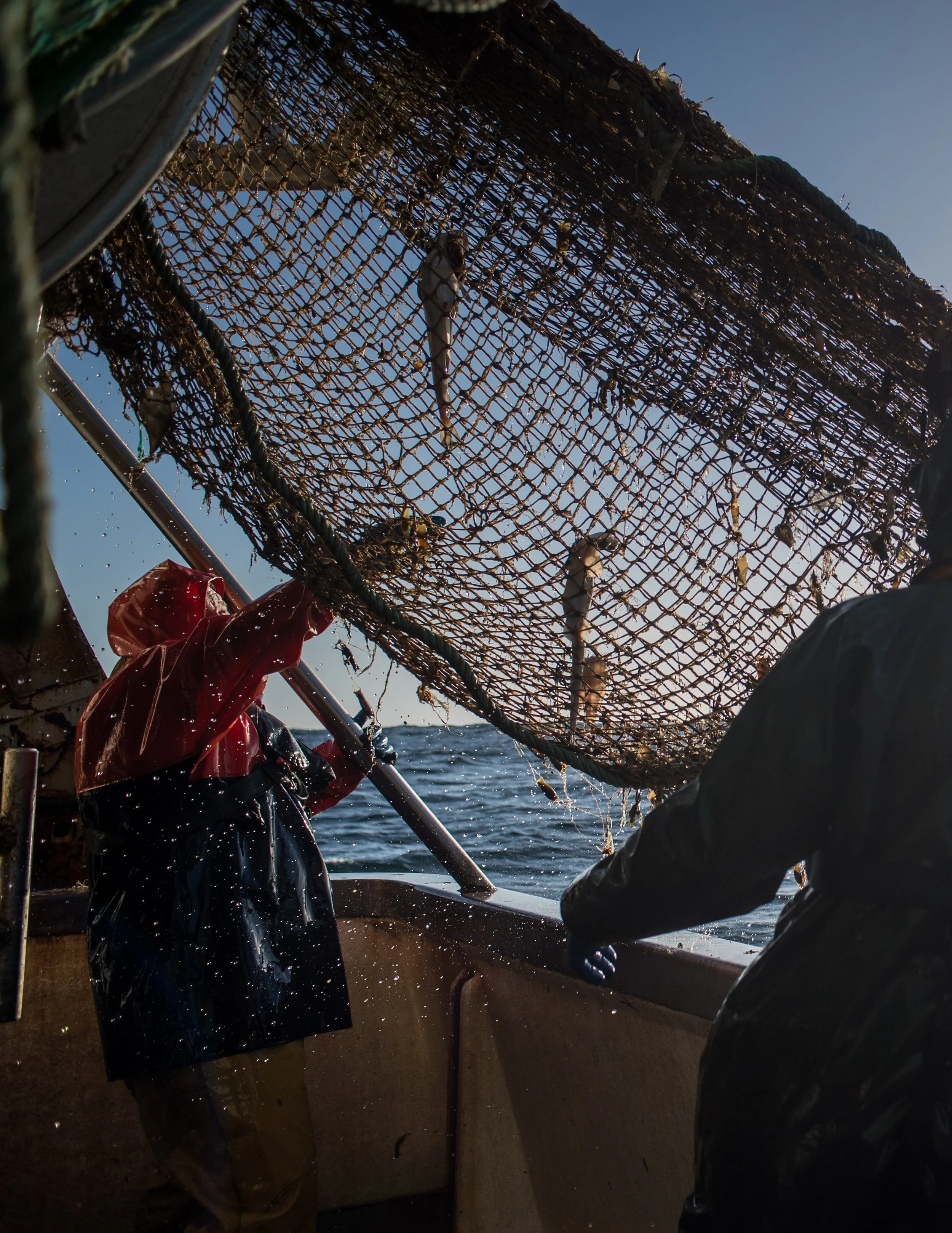 Bassin-Mag "4 jours sur le Hollandais Volant"