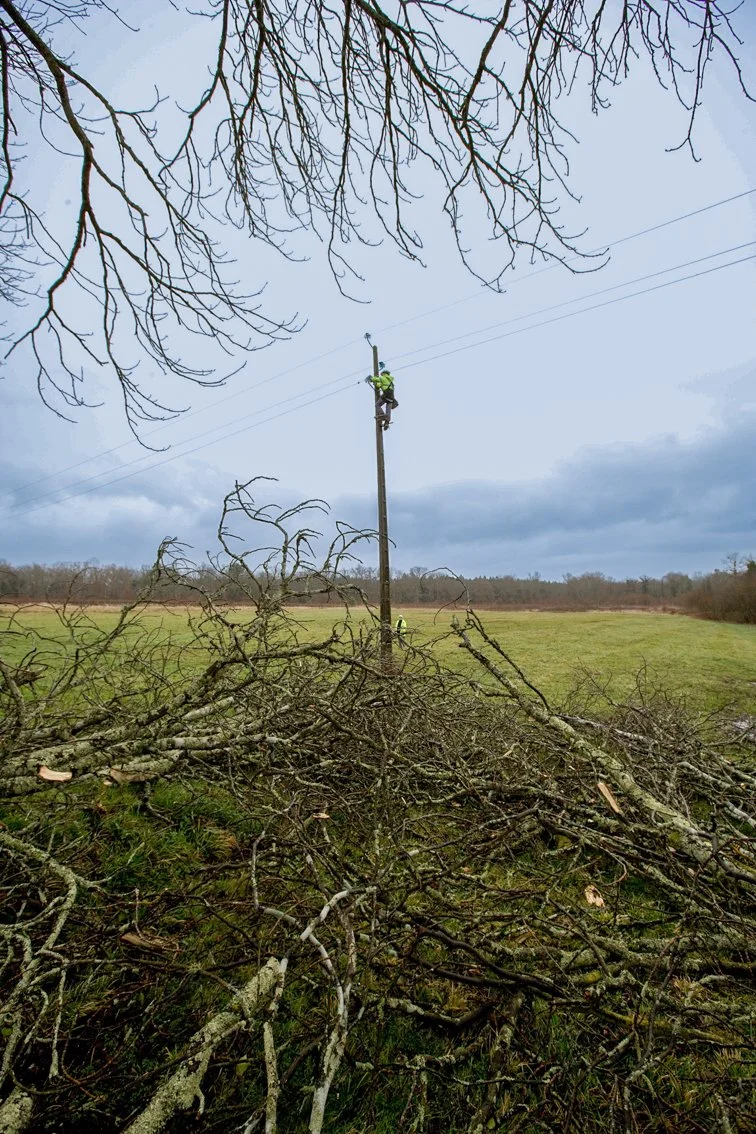 Enedis tempête KLAUS (Force d'Intervention Rapide Électricité)