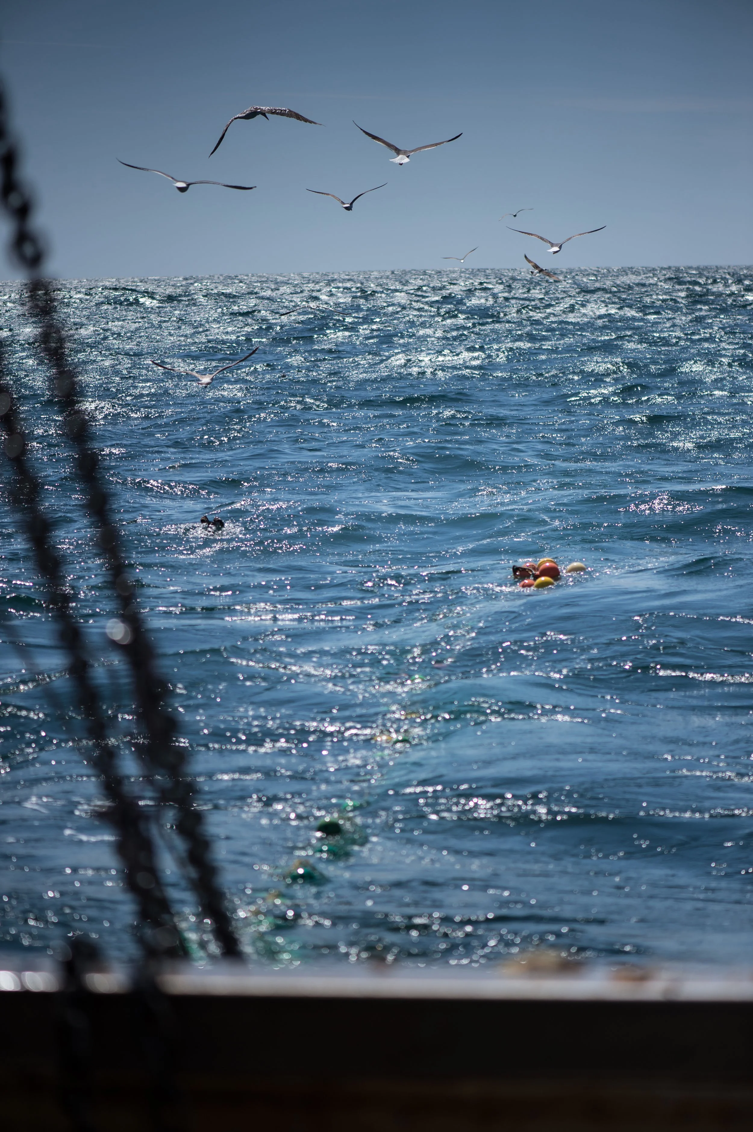 Bassin-Mag "4 jours sur le Hollandais Volant"