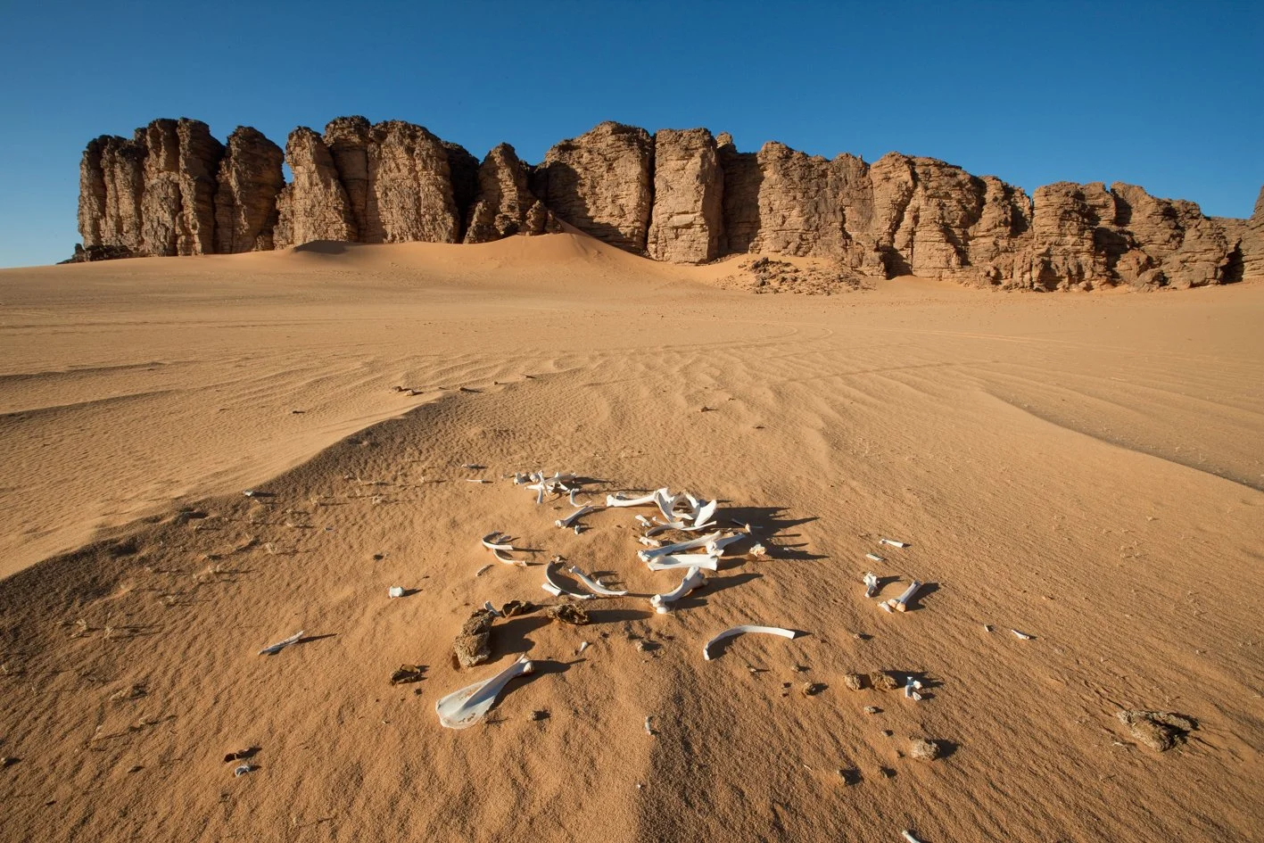 Parc National du Tassili N’Ajjer - Algérie