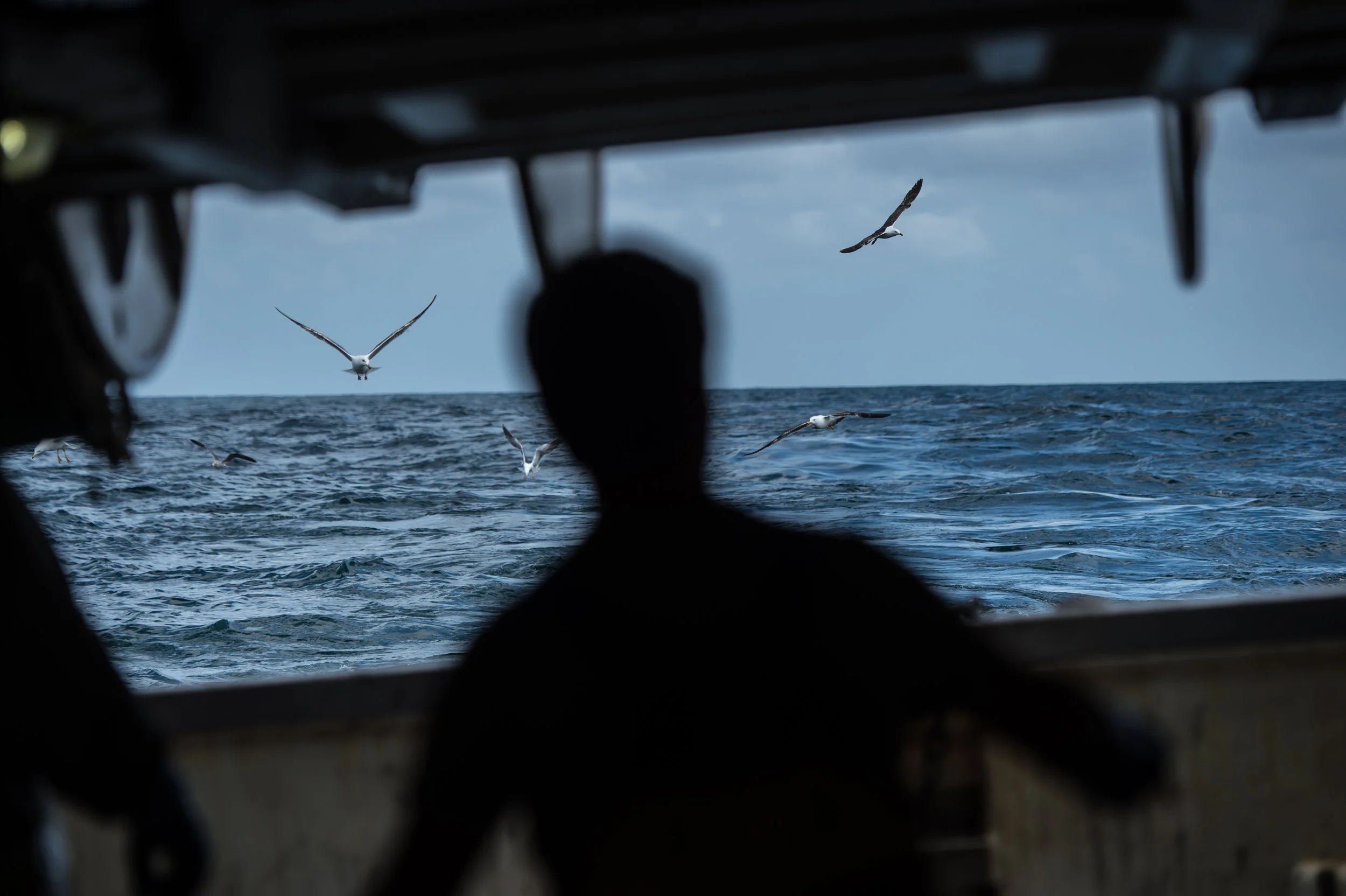 Bassin-Mag "4 jours sur le Hollandais Volant"