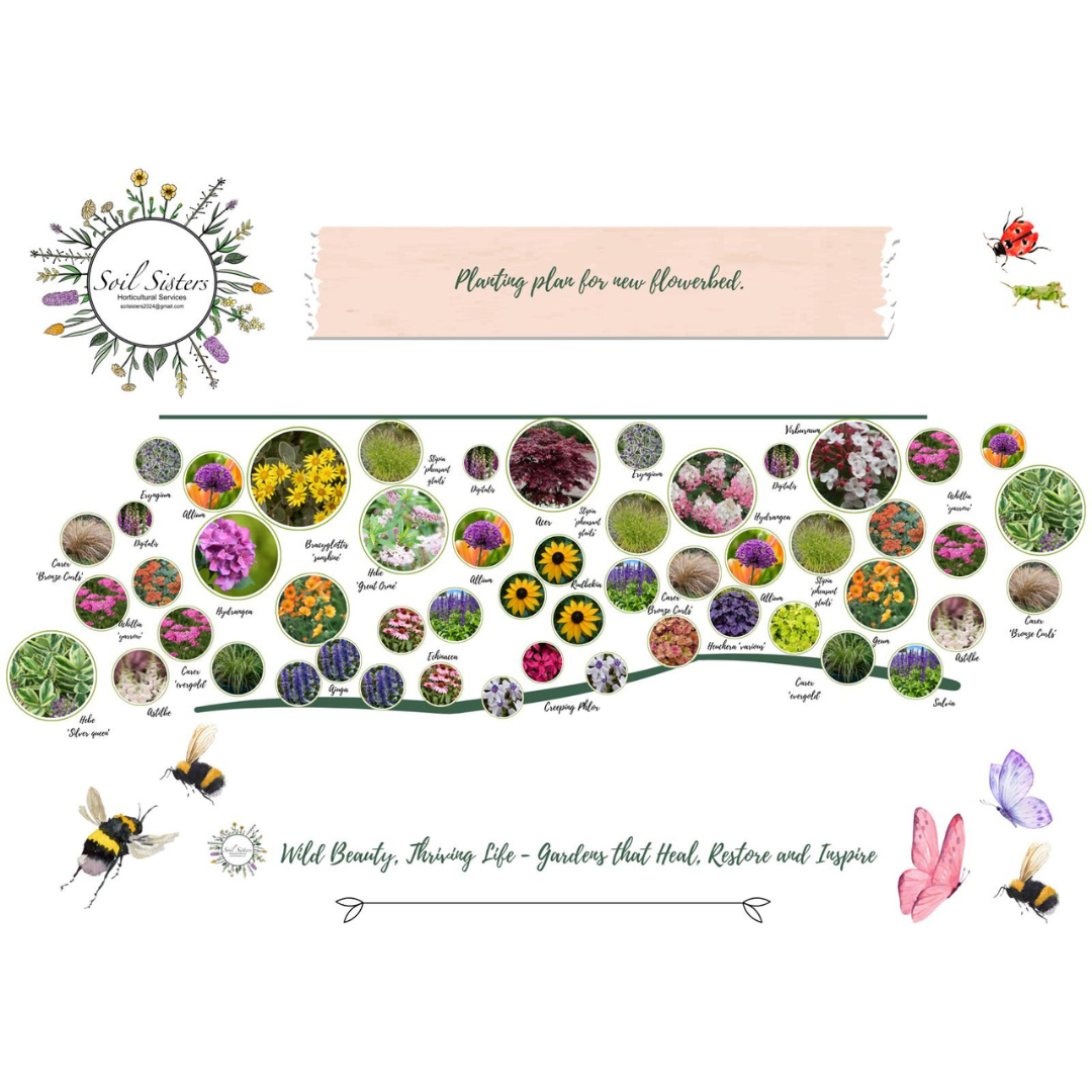 Planting plan for new flowerbed with various flowers, plants, and garden-themed illustrations, including bees, ladybugs, and butterflies.
